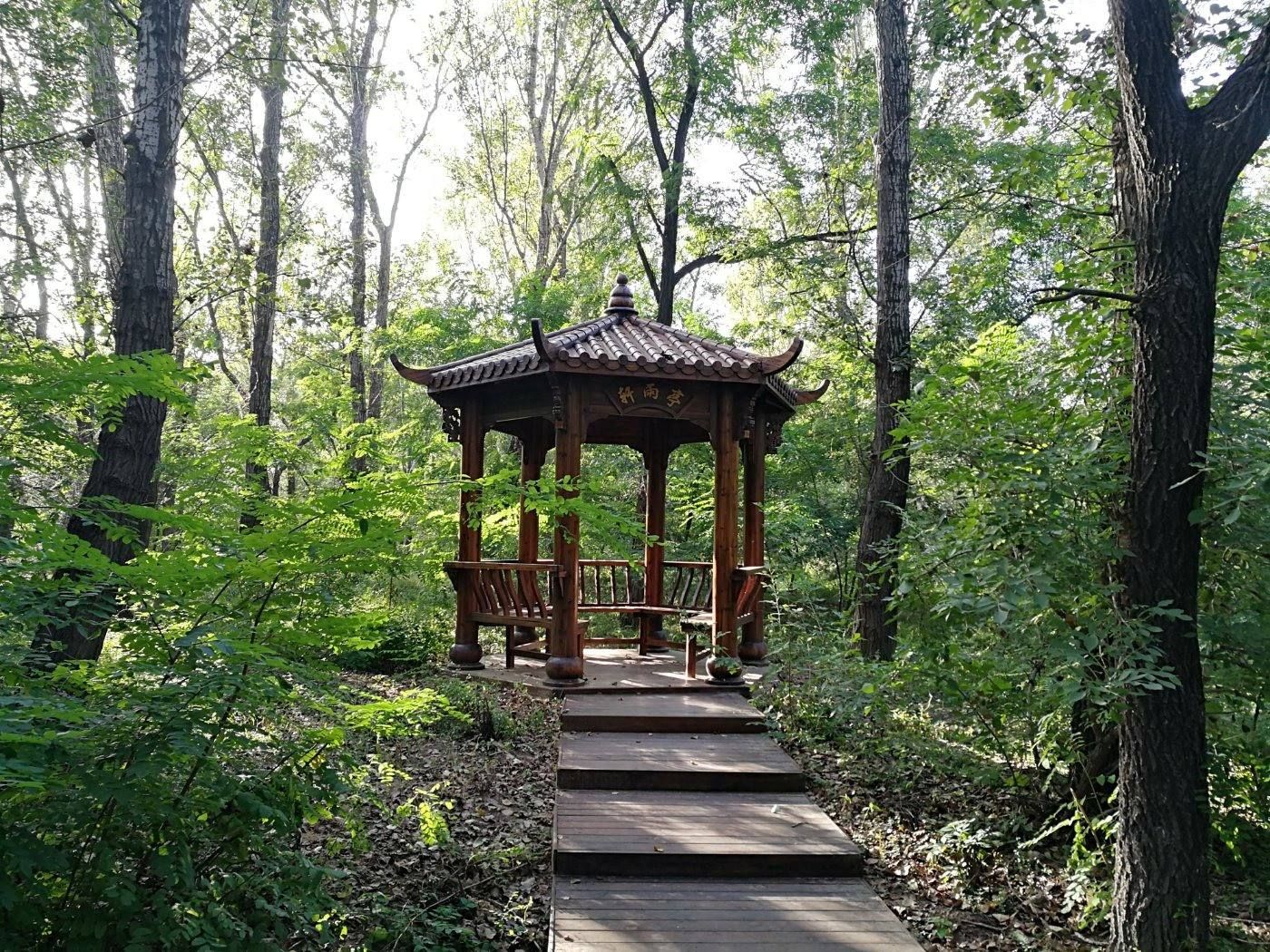 盘锦森林公园旅行图片