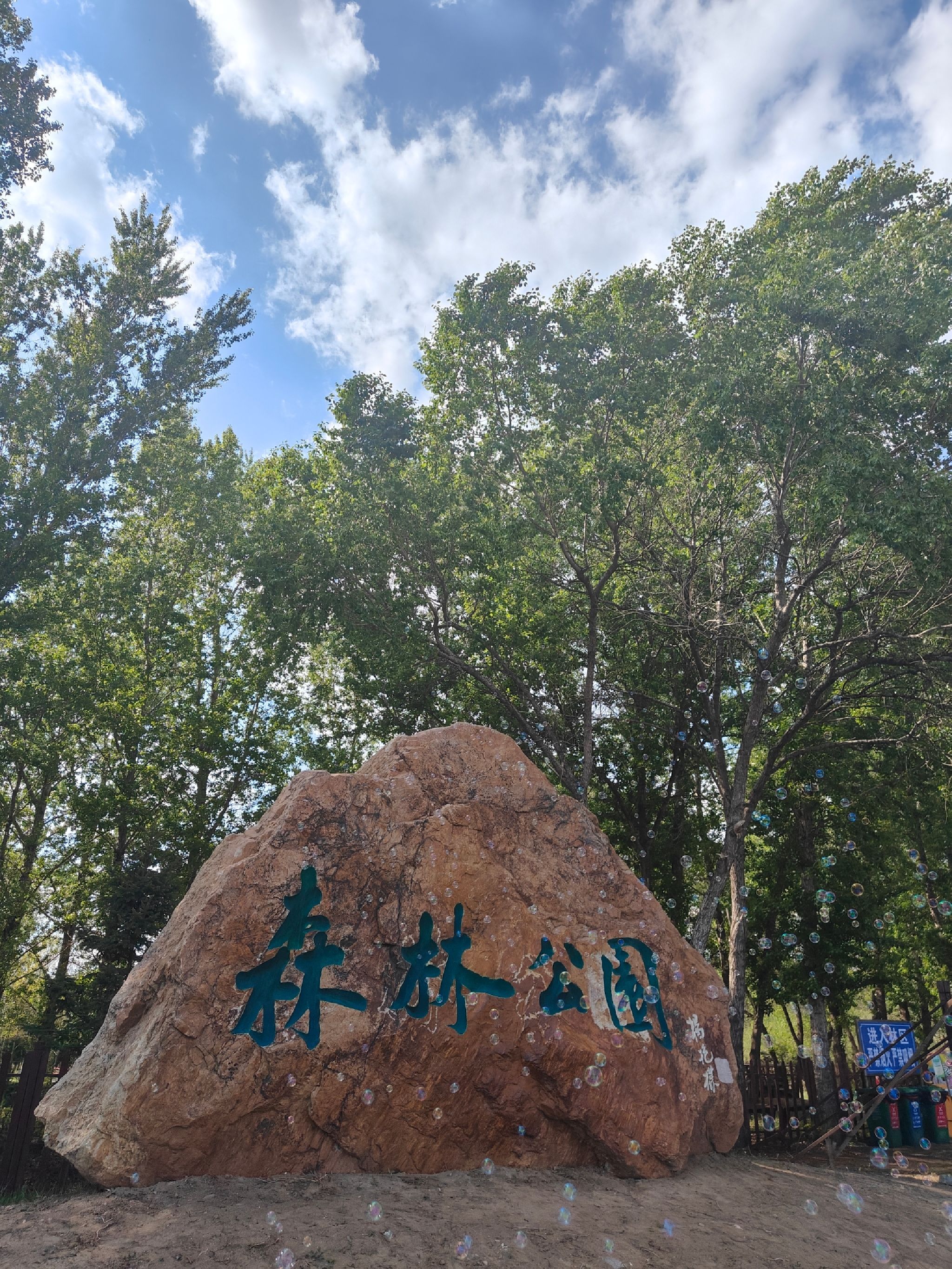 盘锦森林公园旅行图片