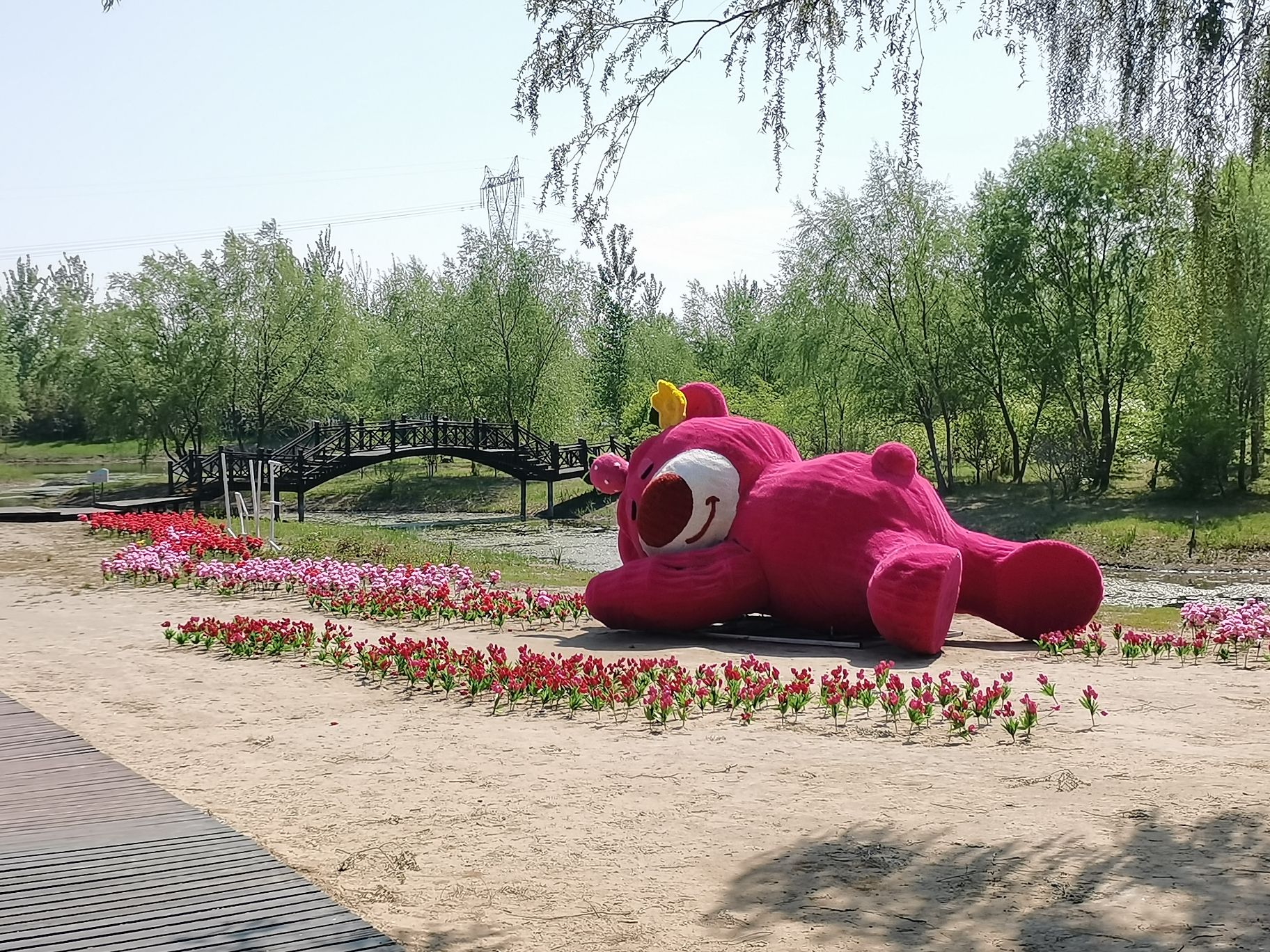 盘锦森林公园旅行图片