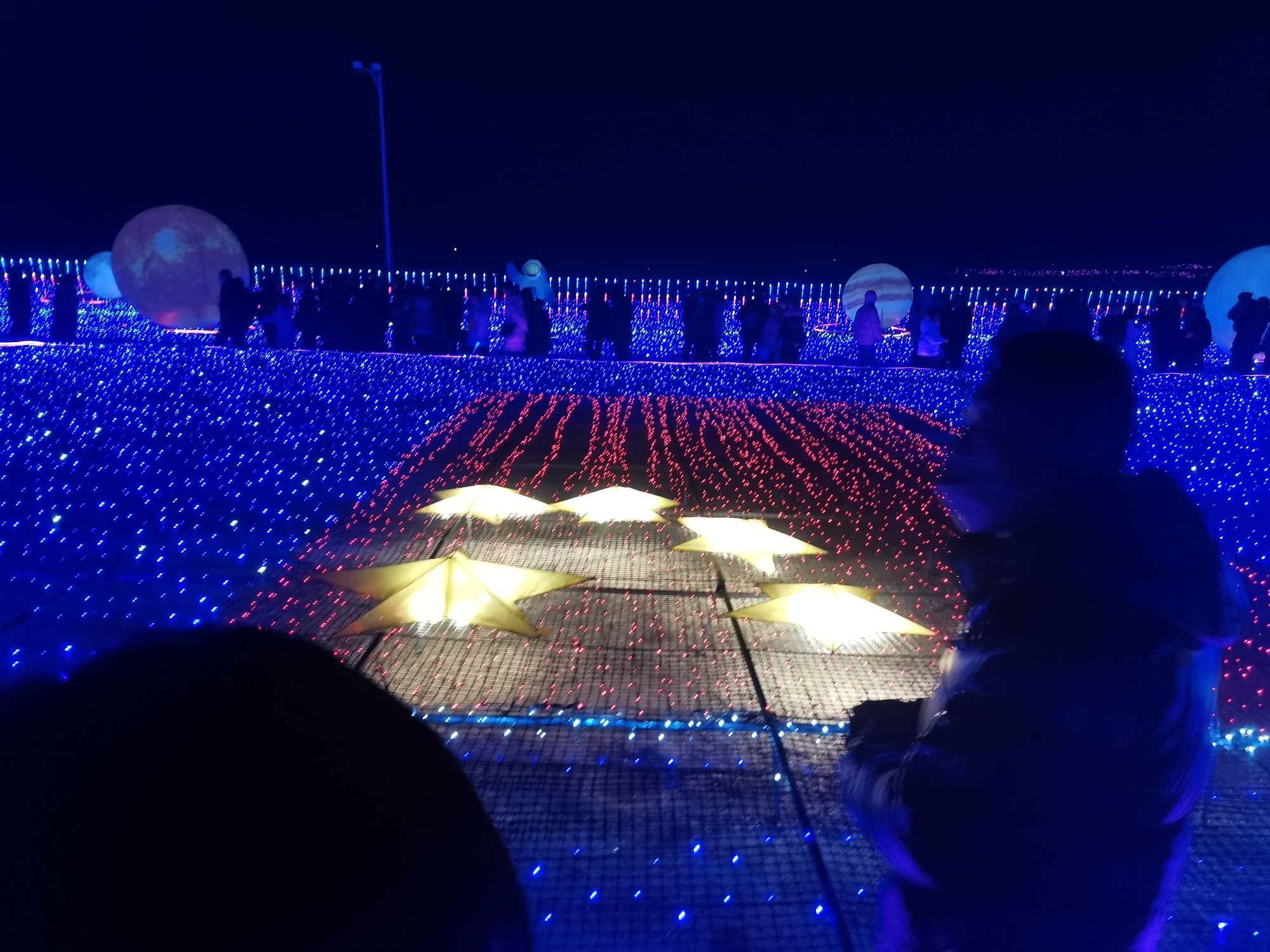 1955国营农场旅行图片