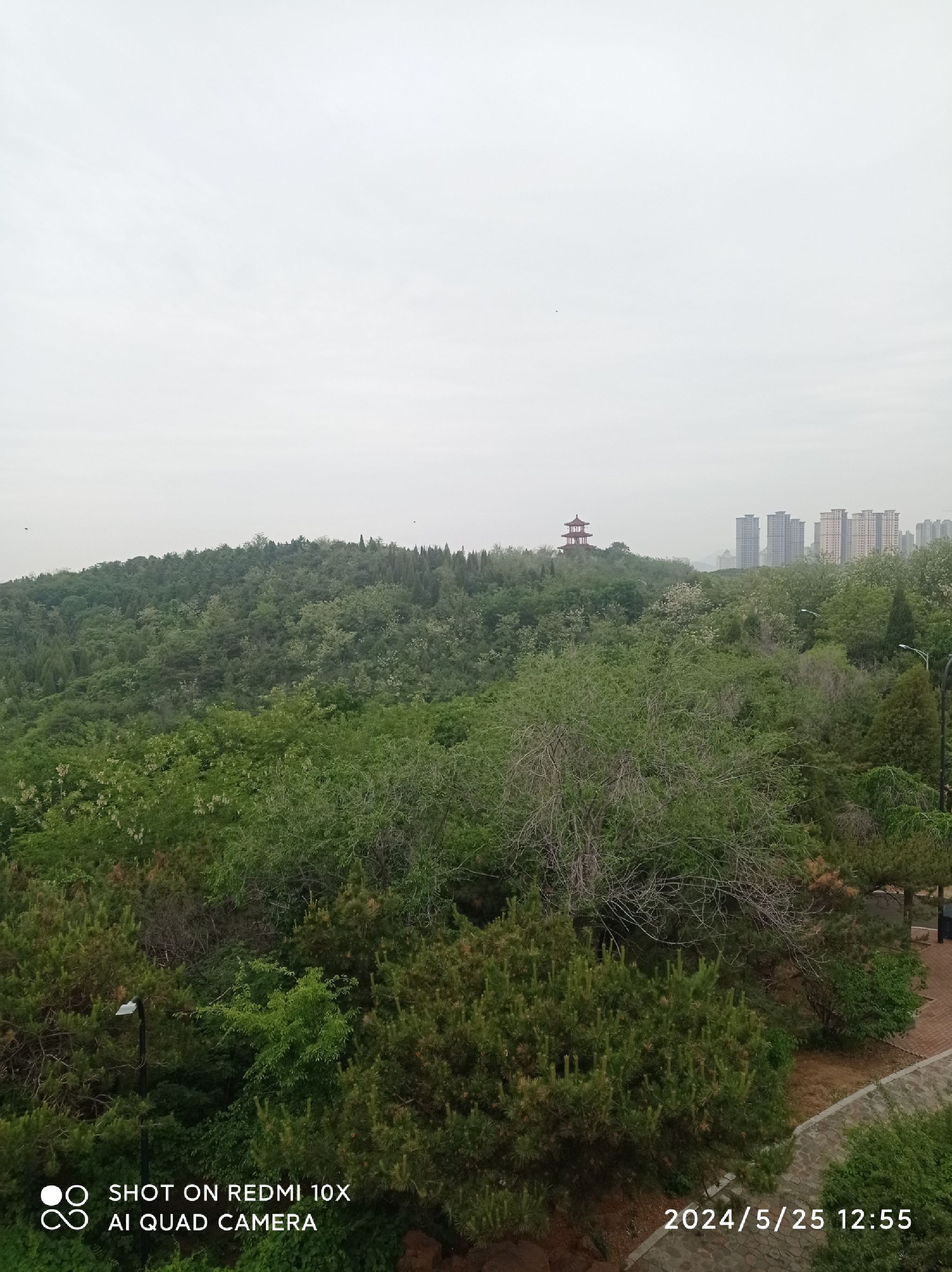 龙背山公园旅行图片