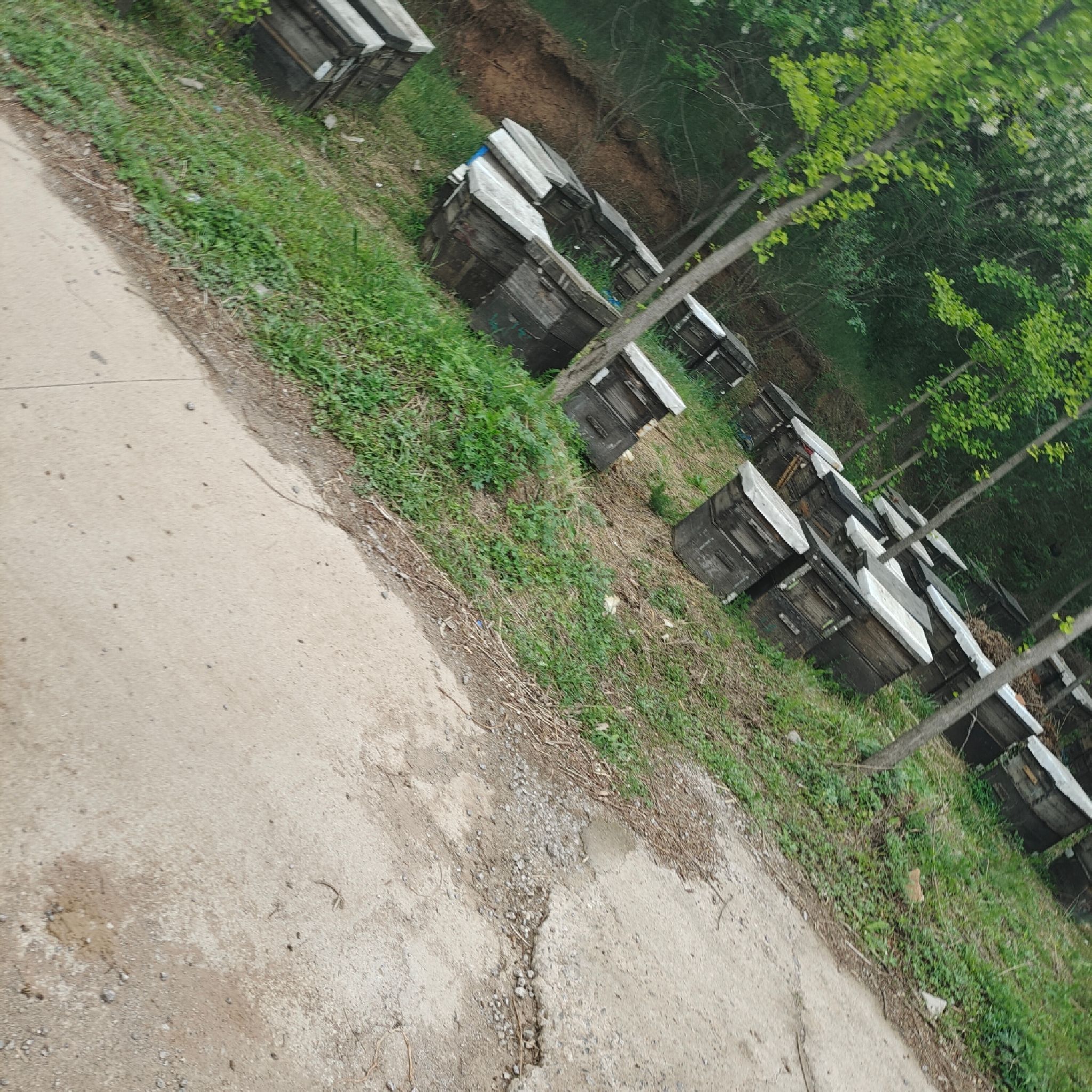 龙背山公园旅行图片