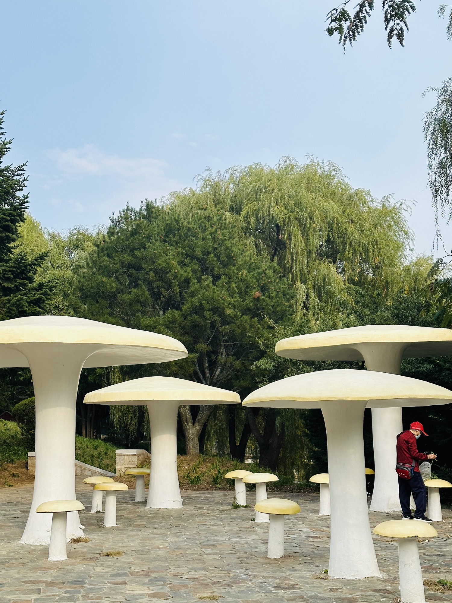 龙湾公园