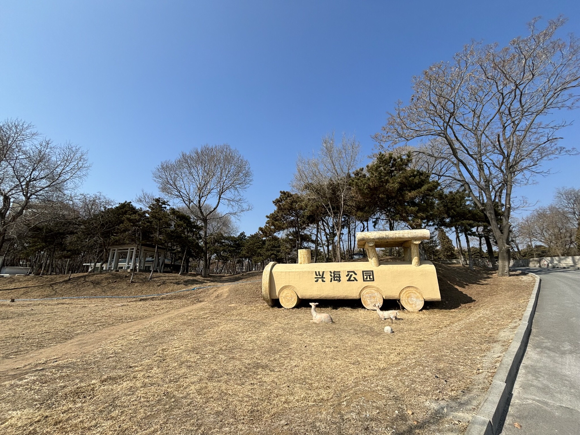 兴海公园旅行图片