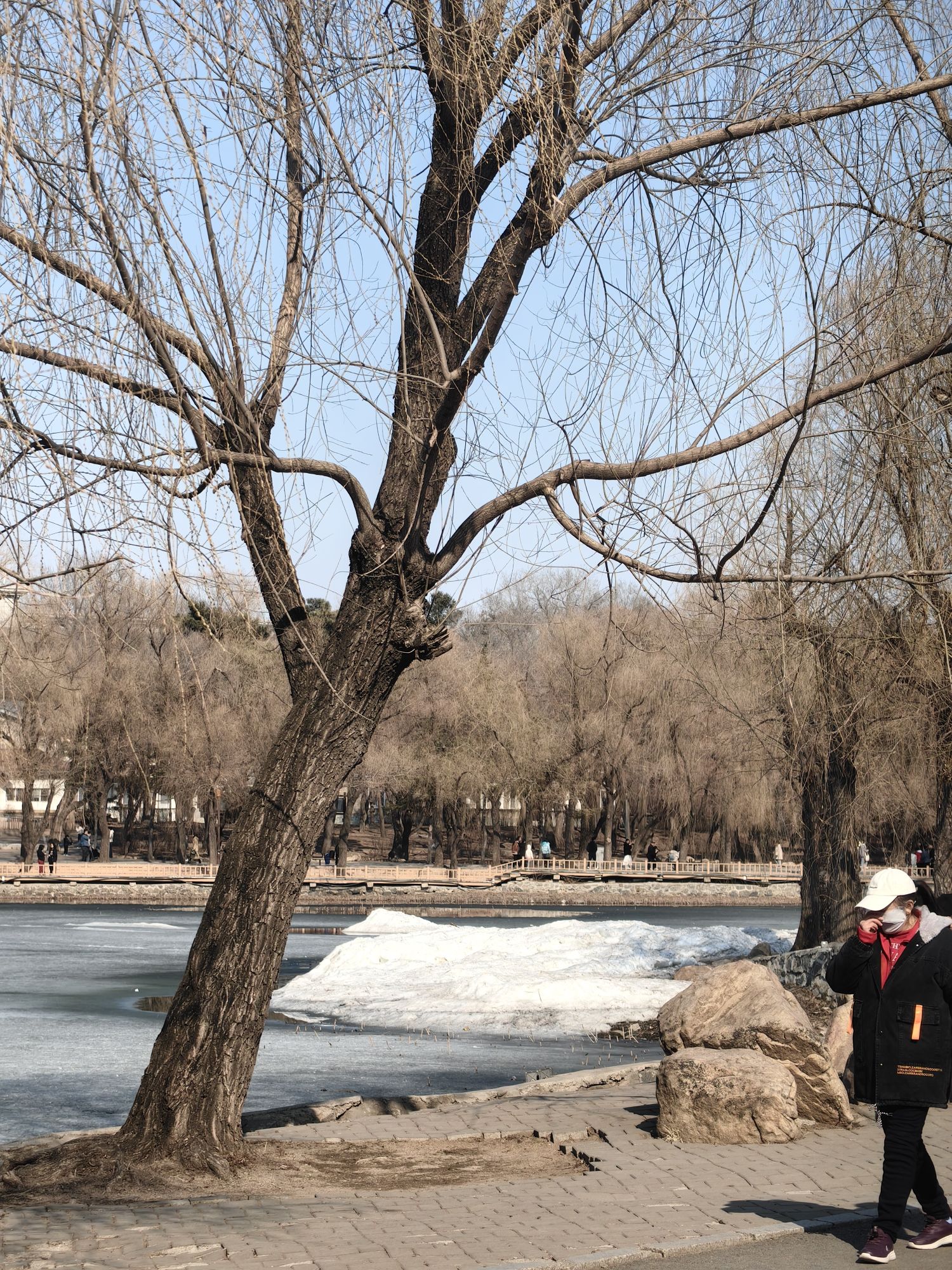 南湖公园旅行图片