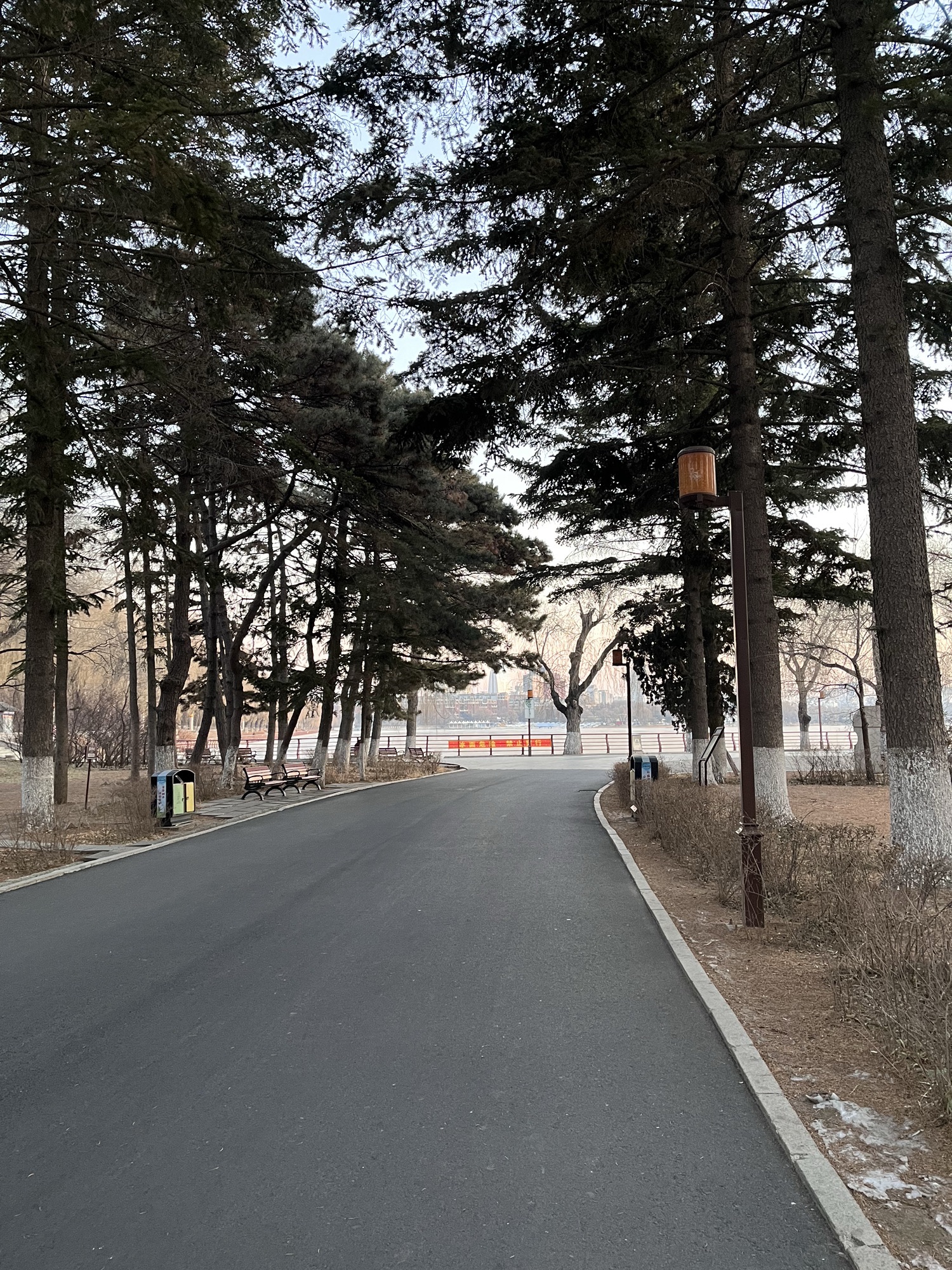 南湖公园旅行图片