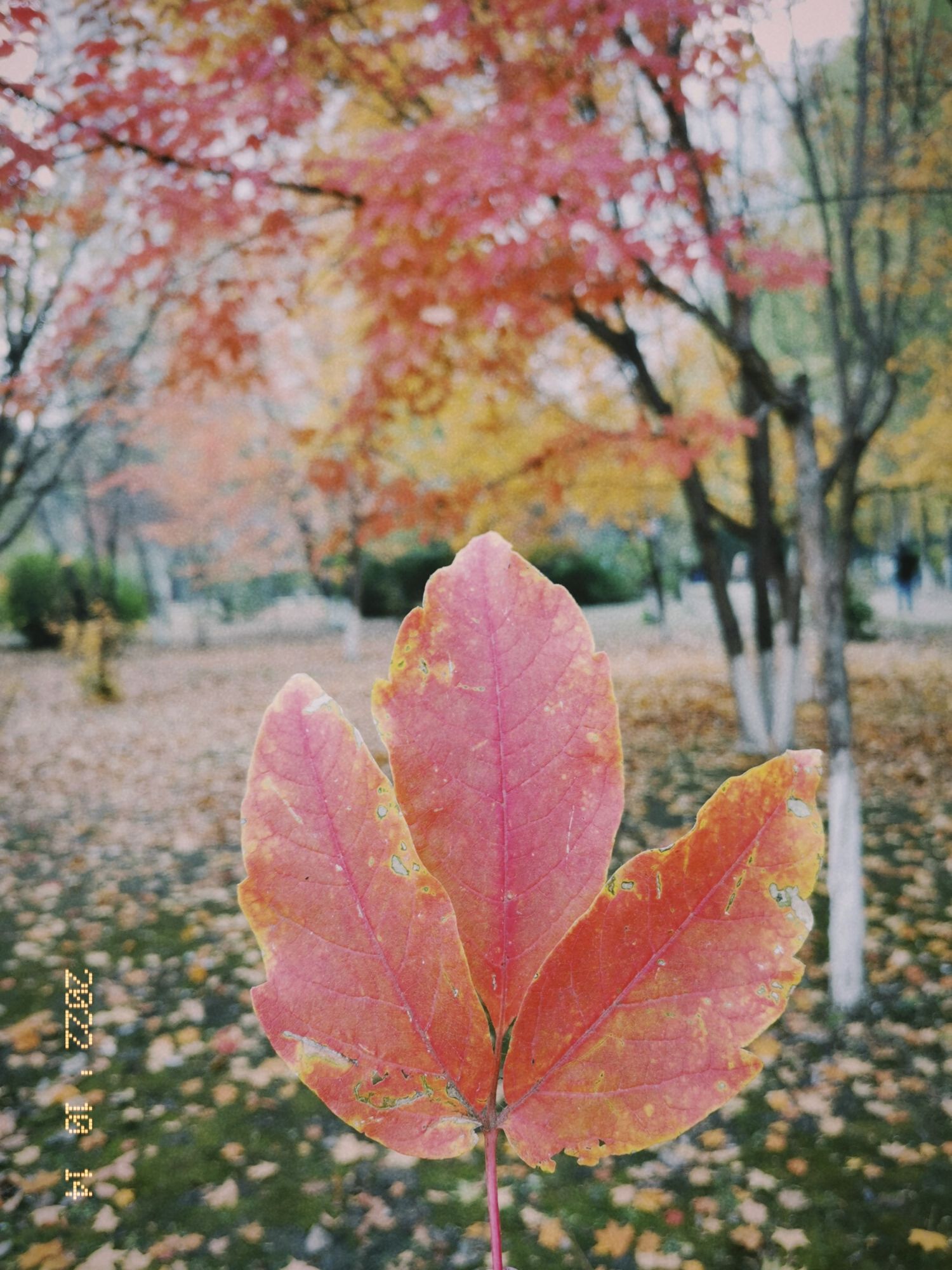 德惠市植物公园