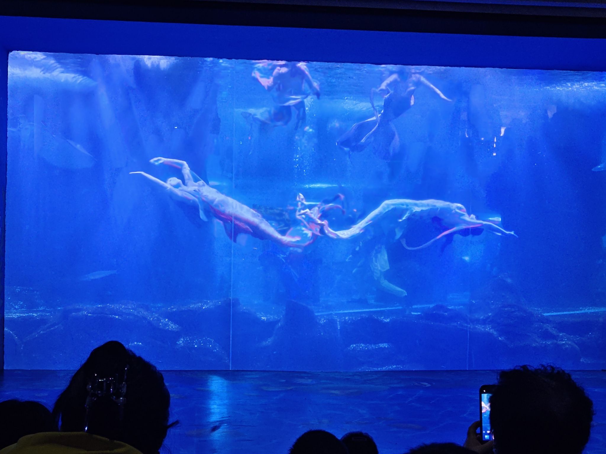 长春中泰海洋世界旅行图片