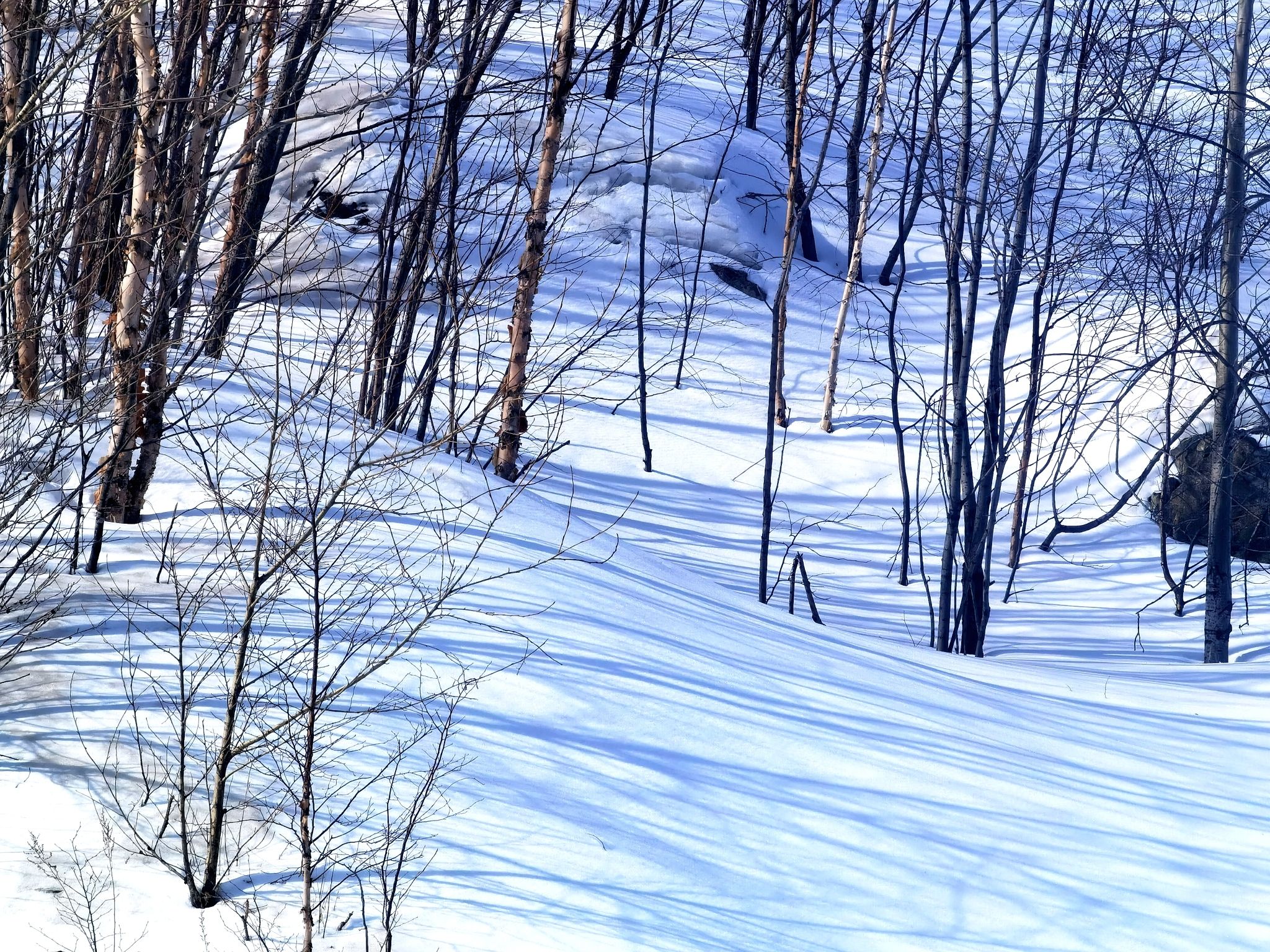 吉林市永吉县北大湖滑雪度假区旅行图片