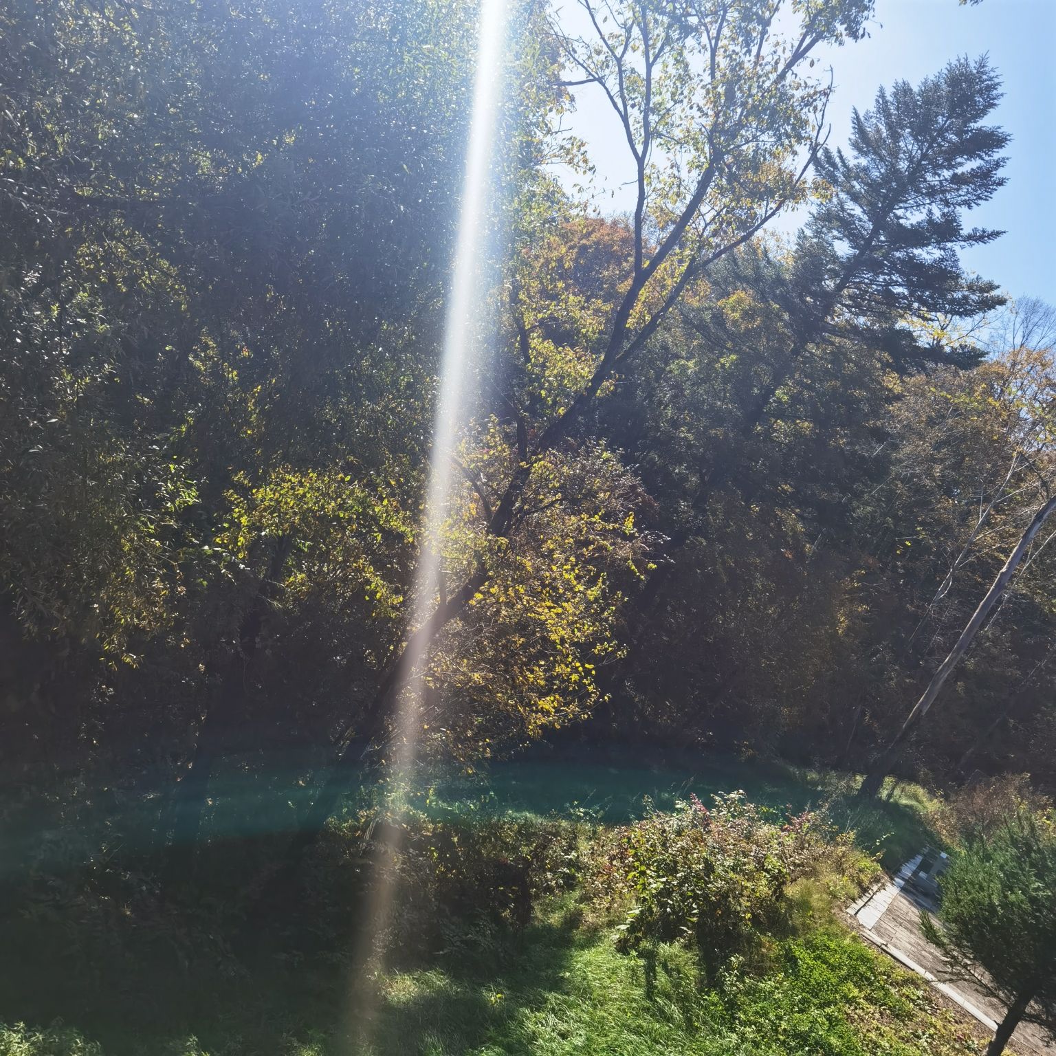 森林氧吧