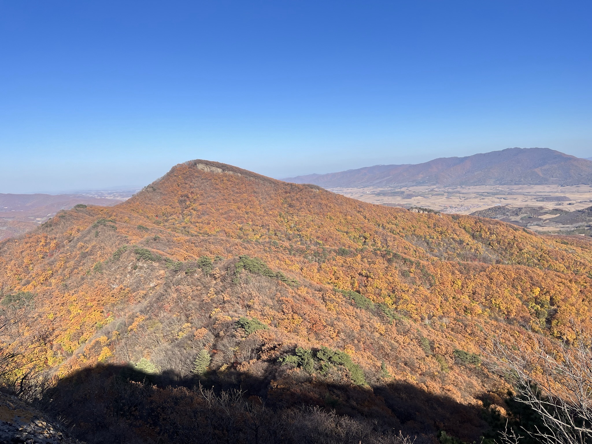 鸡冠山国家森林公园旅行图片