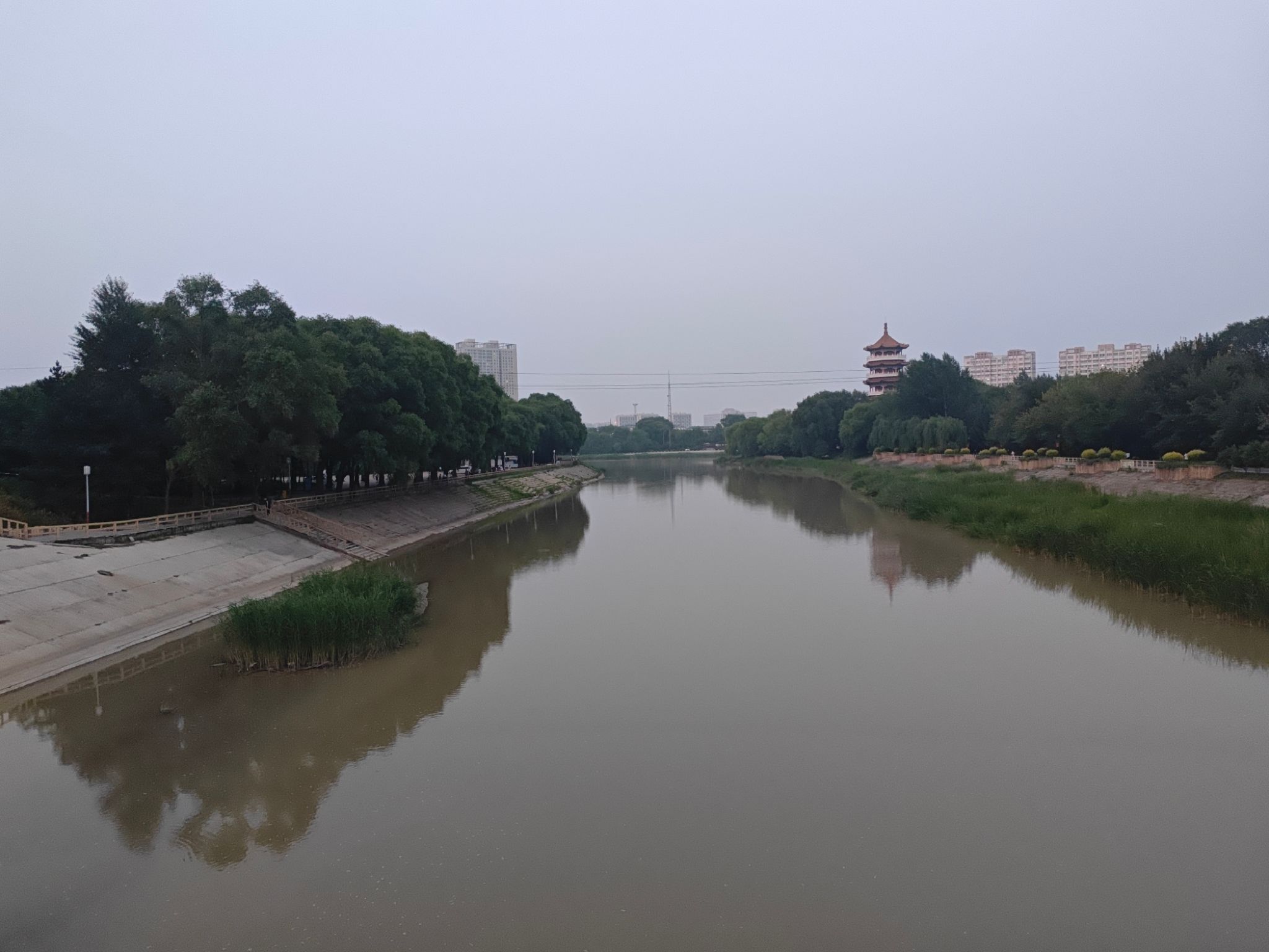 长白山植物园旅行图片