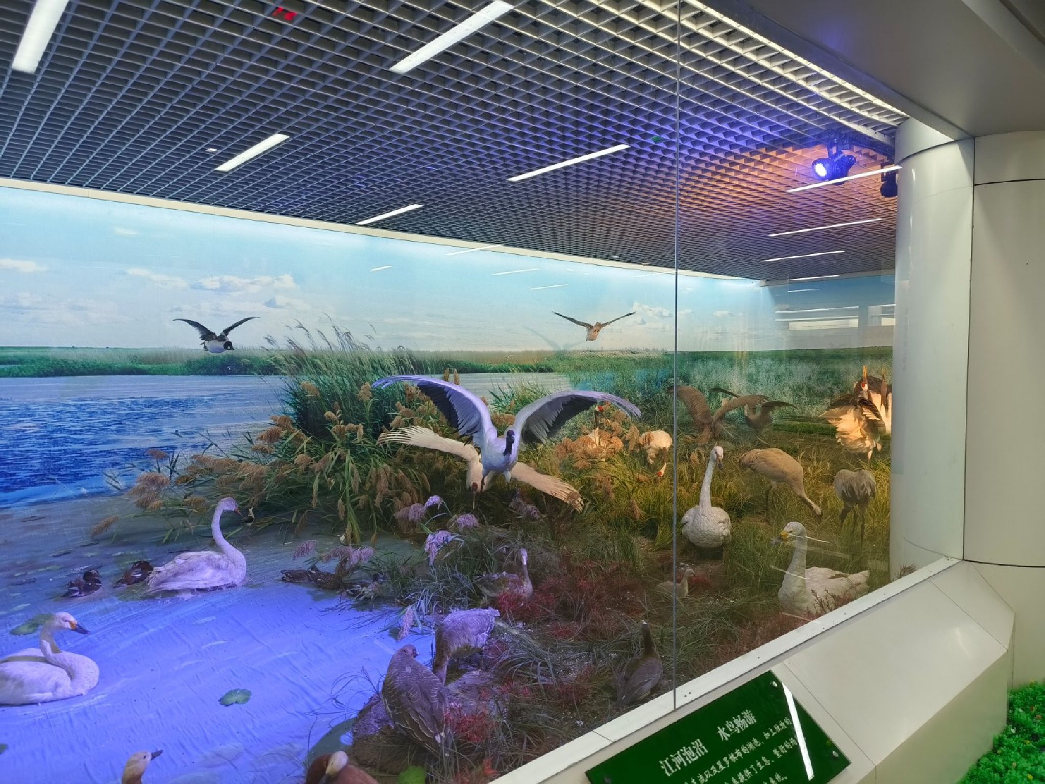 吉林莫莫格国家级自然保护区(暂停开放)旅行图片