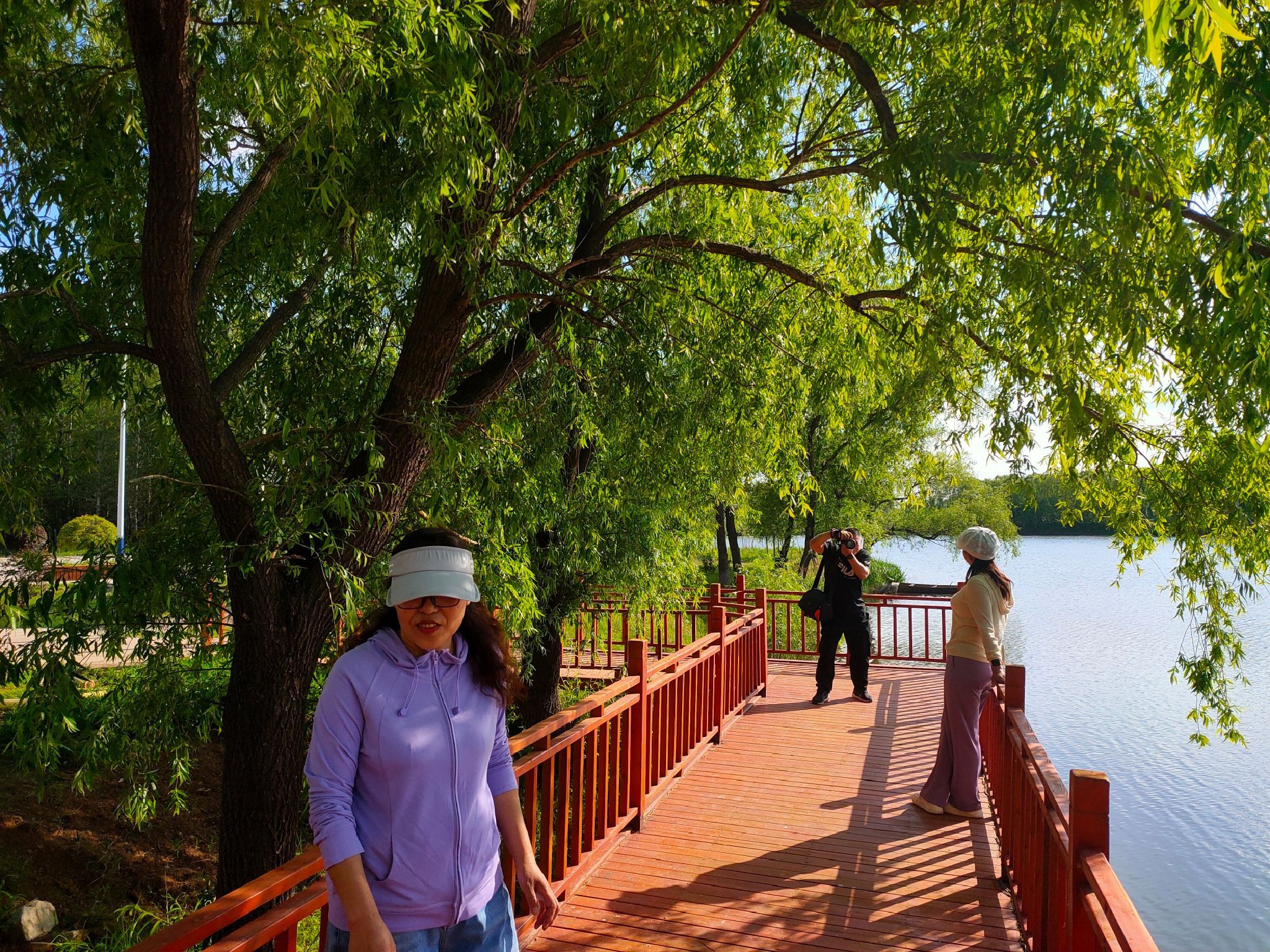 鴜鹭湖国家湿地公园旅行图片