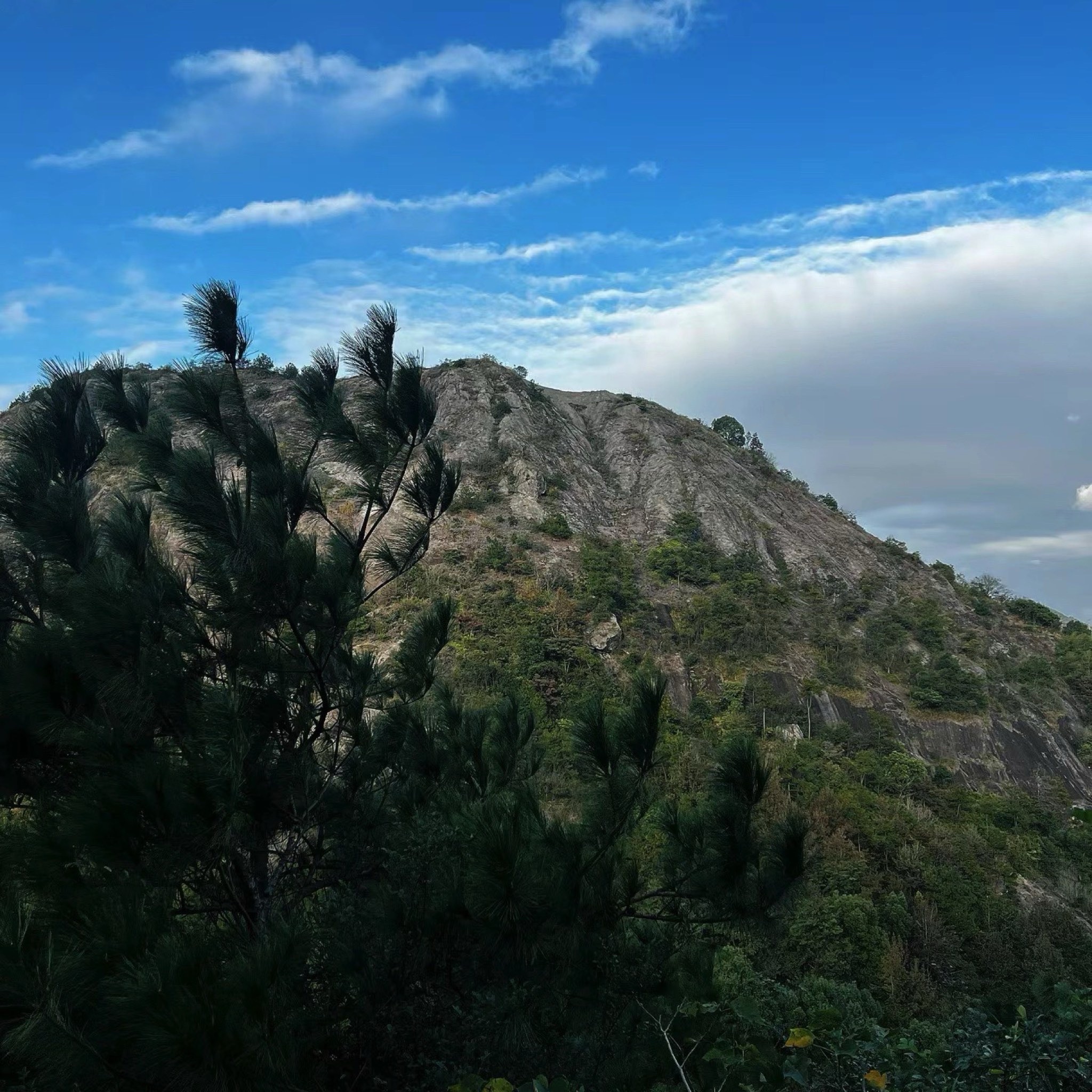 龙凤山国家森林公园旅行图片