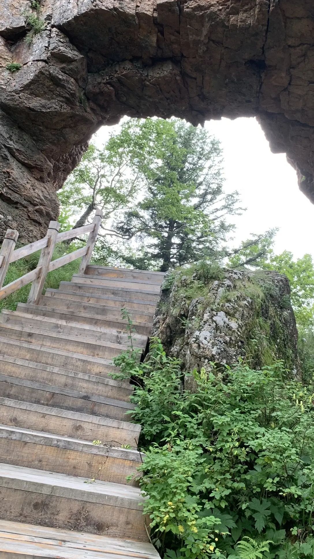 丹清河国家森林公园旅行图片
