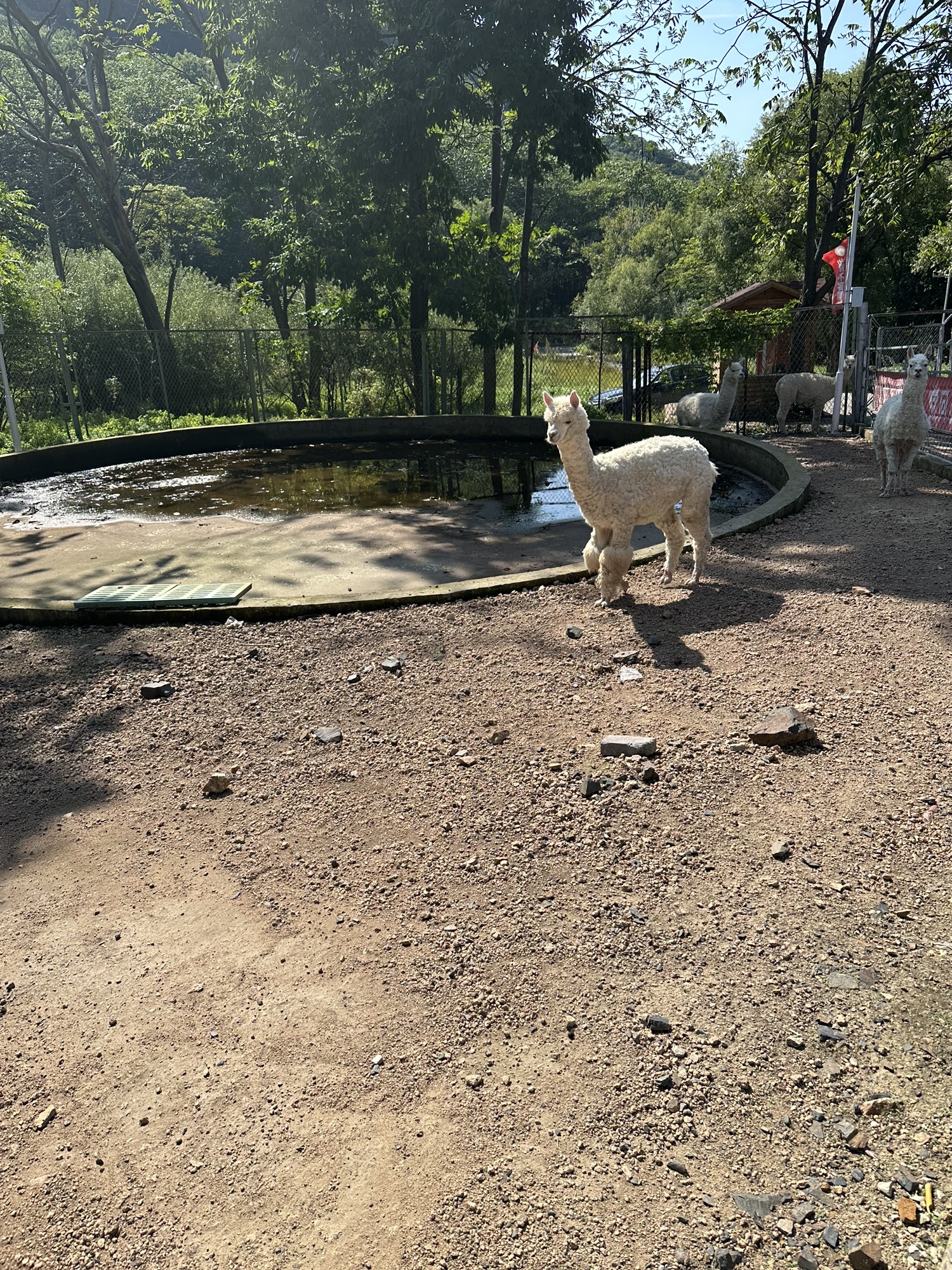 长寿国家森林公园