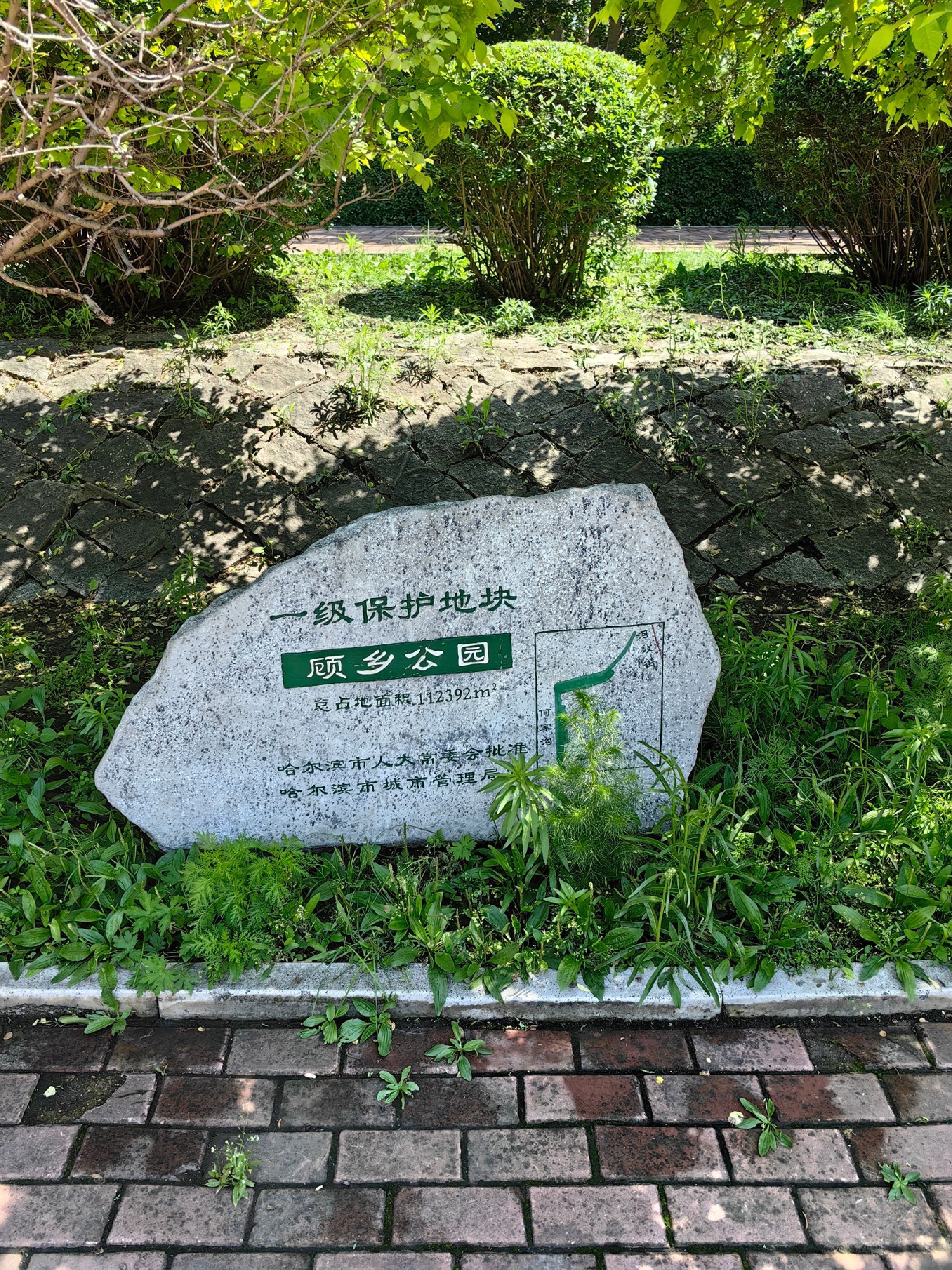 顾乡公园旅行图片