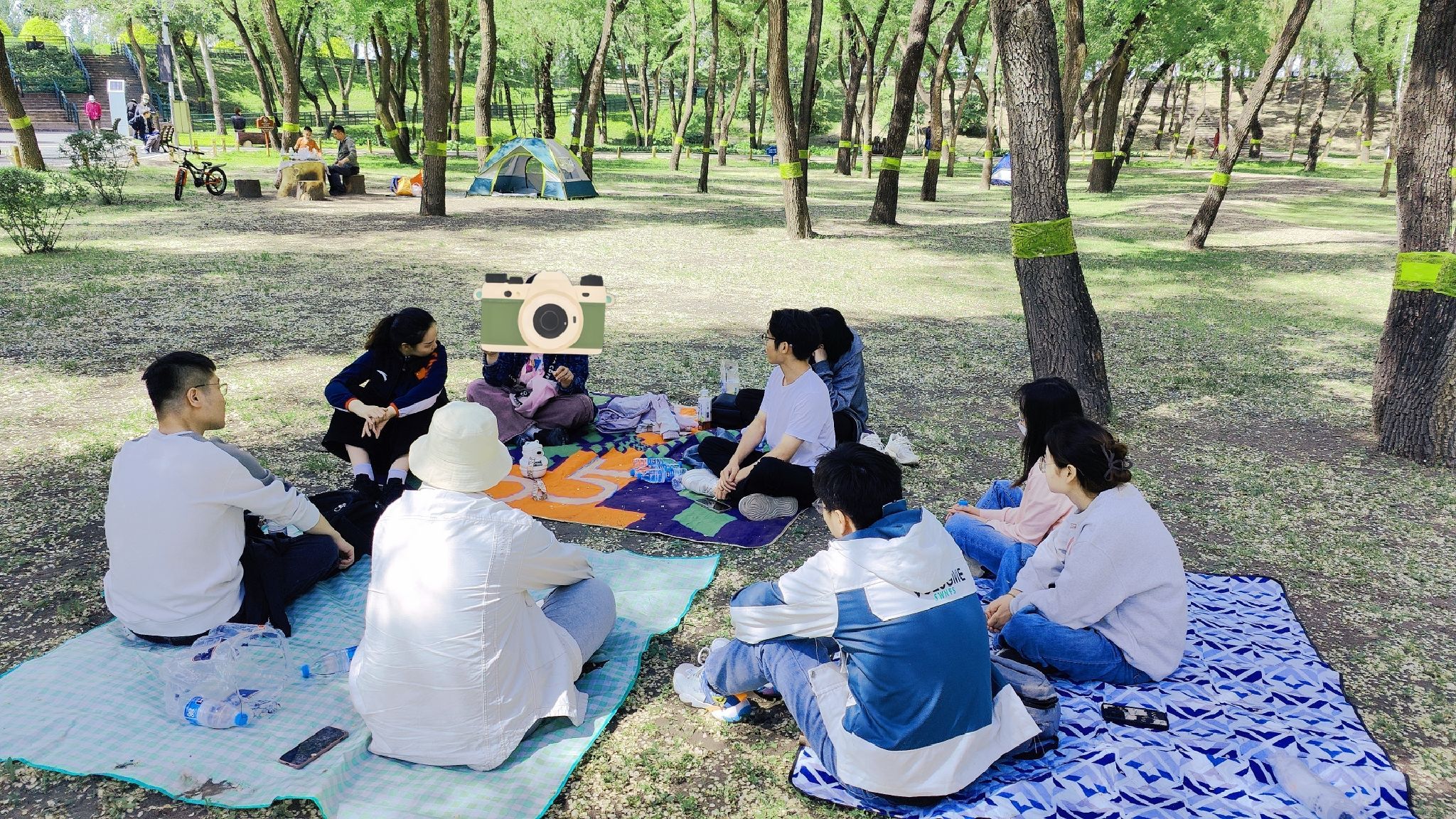 顾乡公园旅行图片