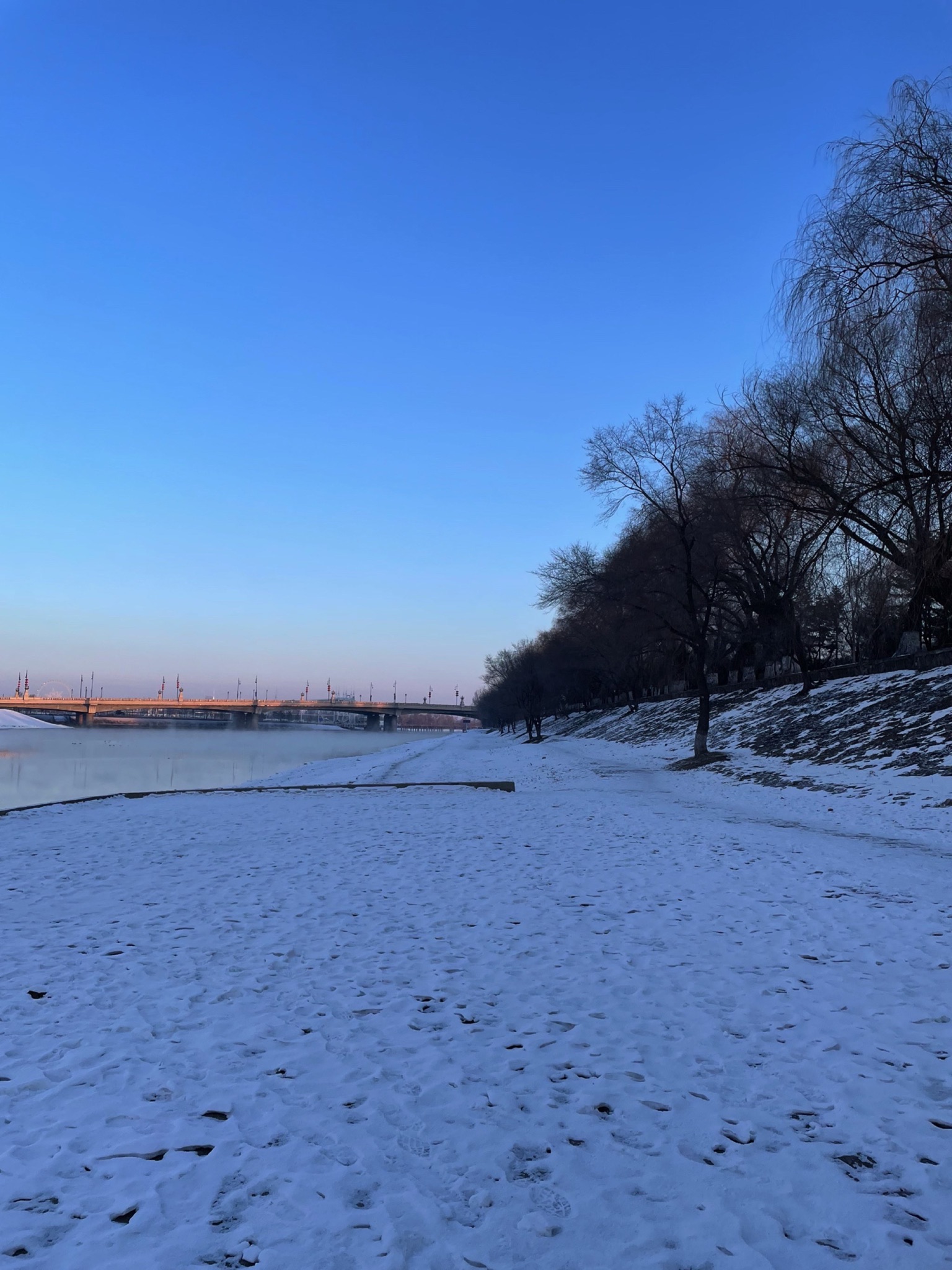 顾乡公园旅行图片