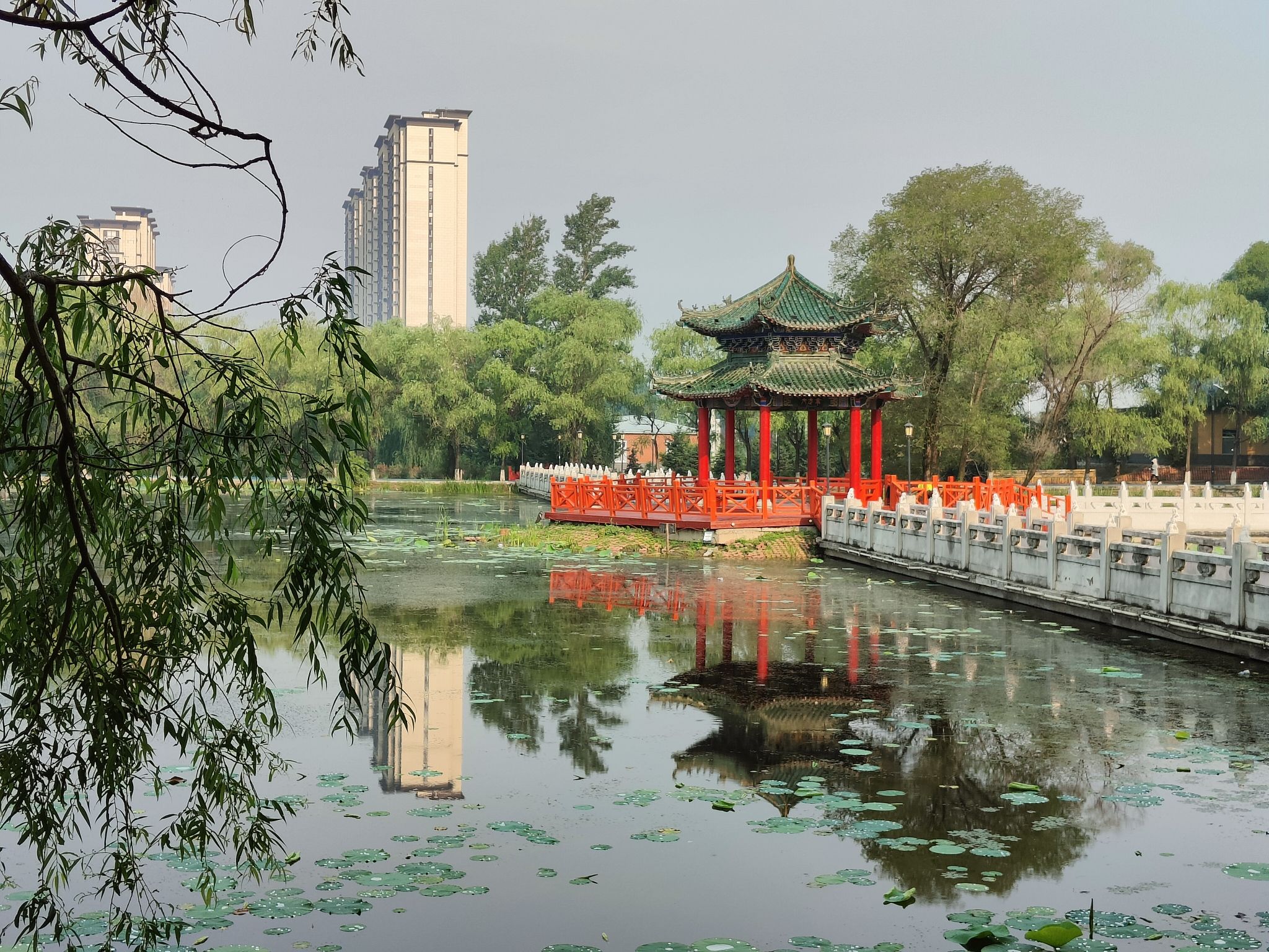 西郊公园旅行图片