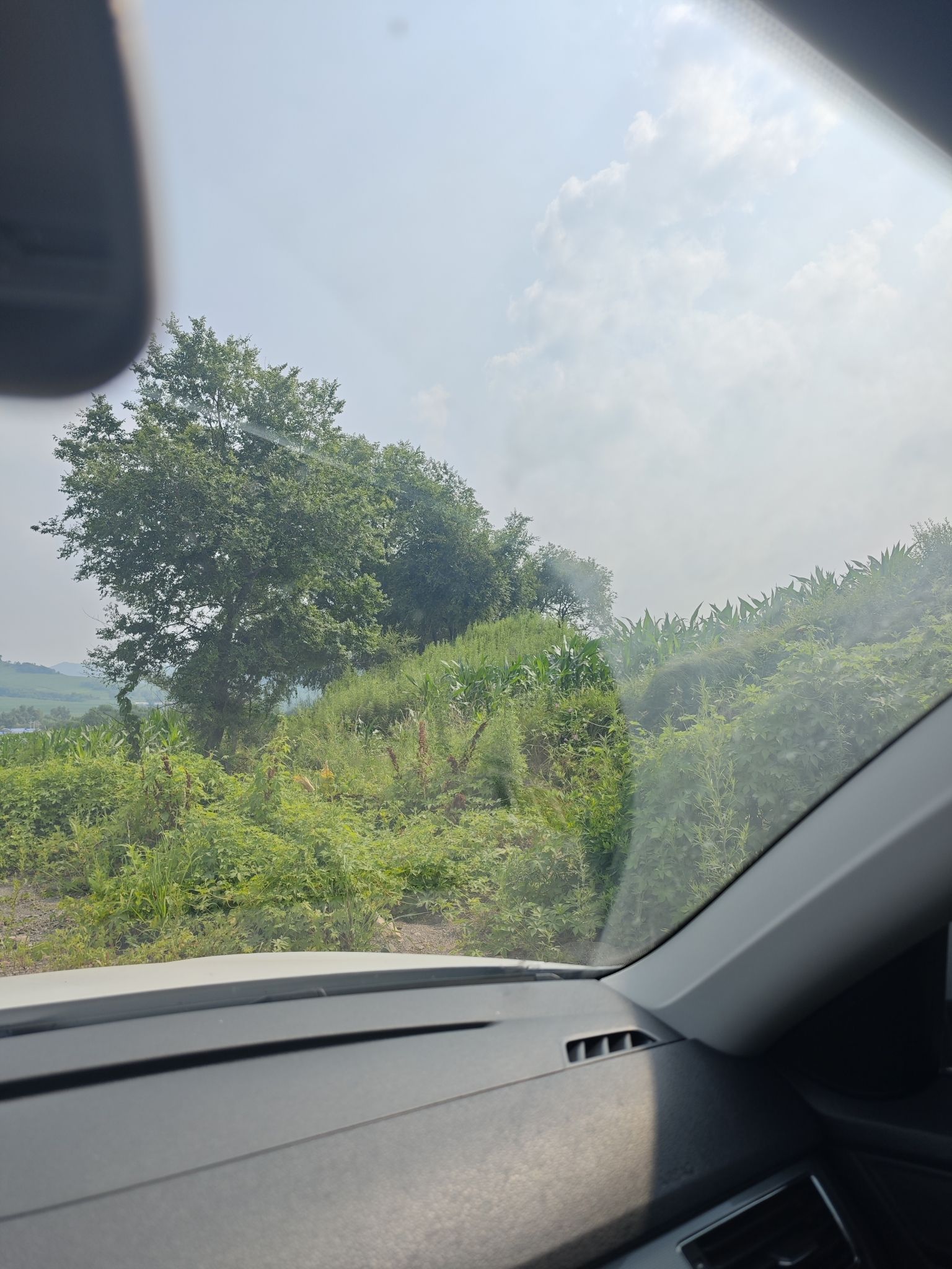 庆华古山寨遗址