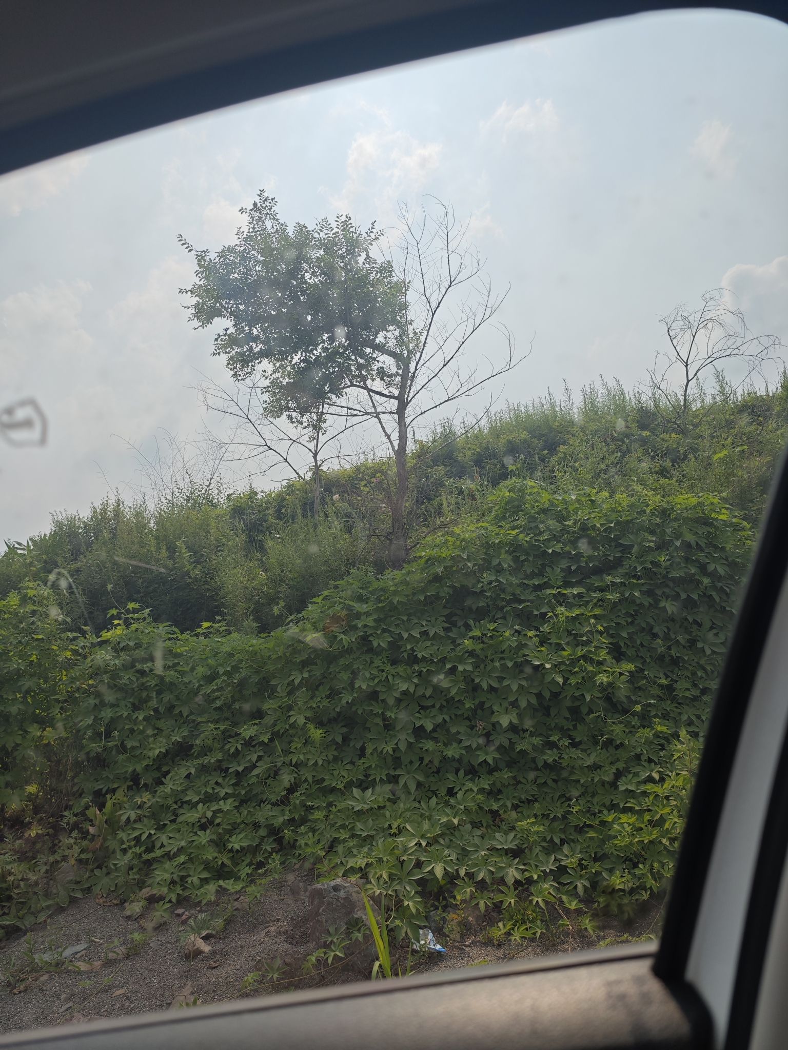 庆华古山寨遗址旅行图片