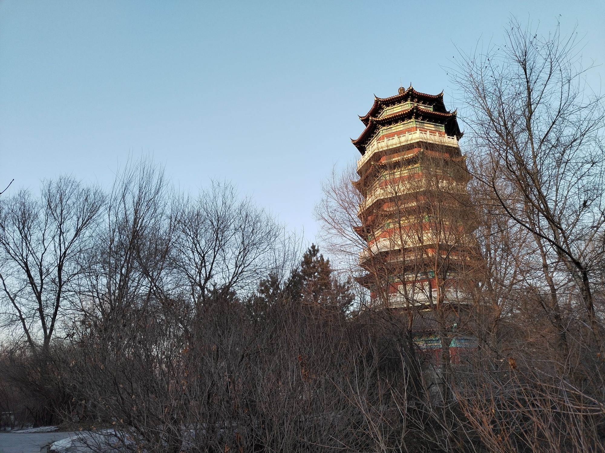 喜鹊公园