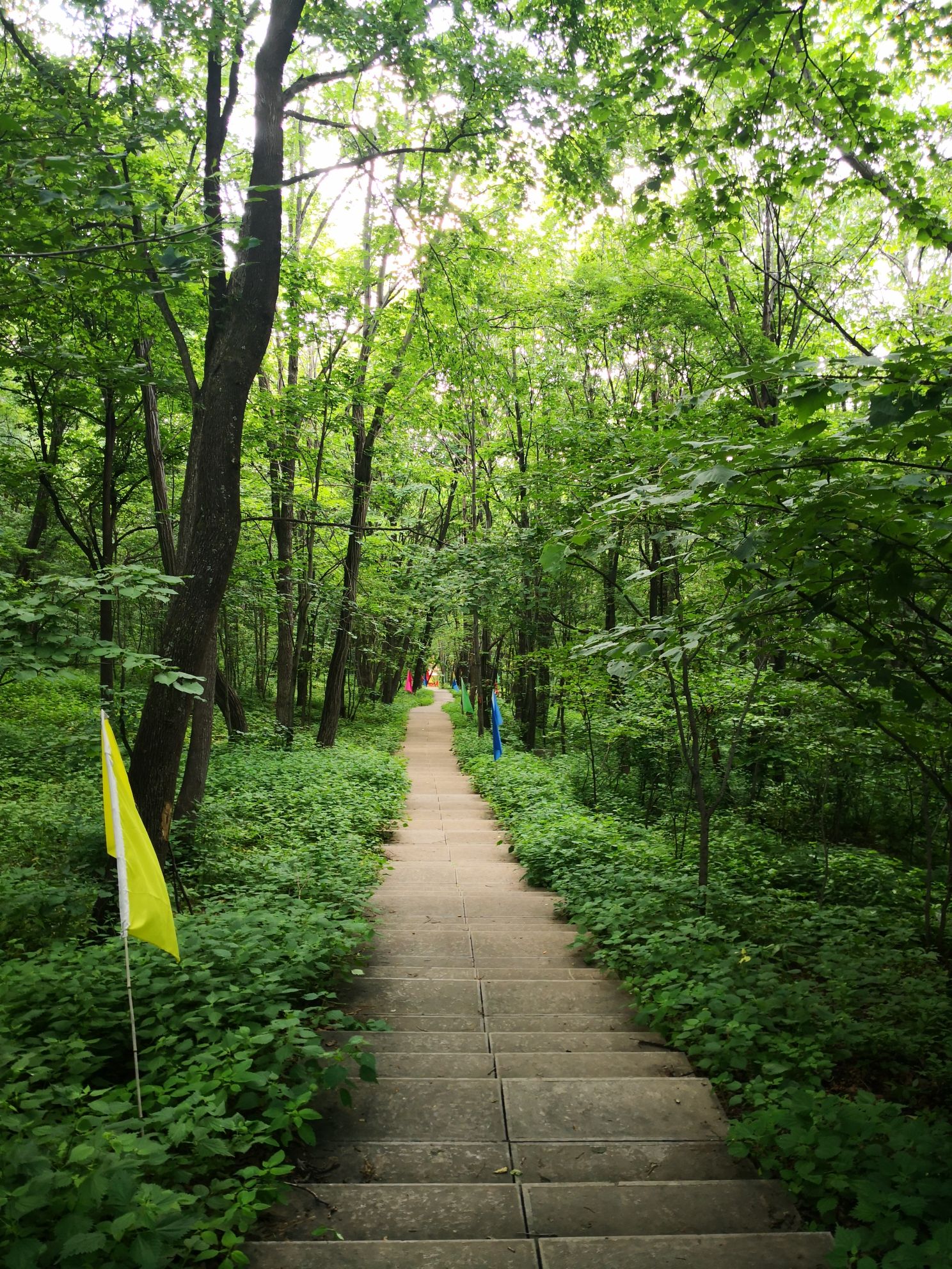 万佛山景区