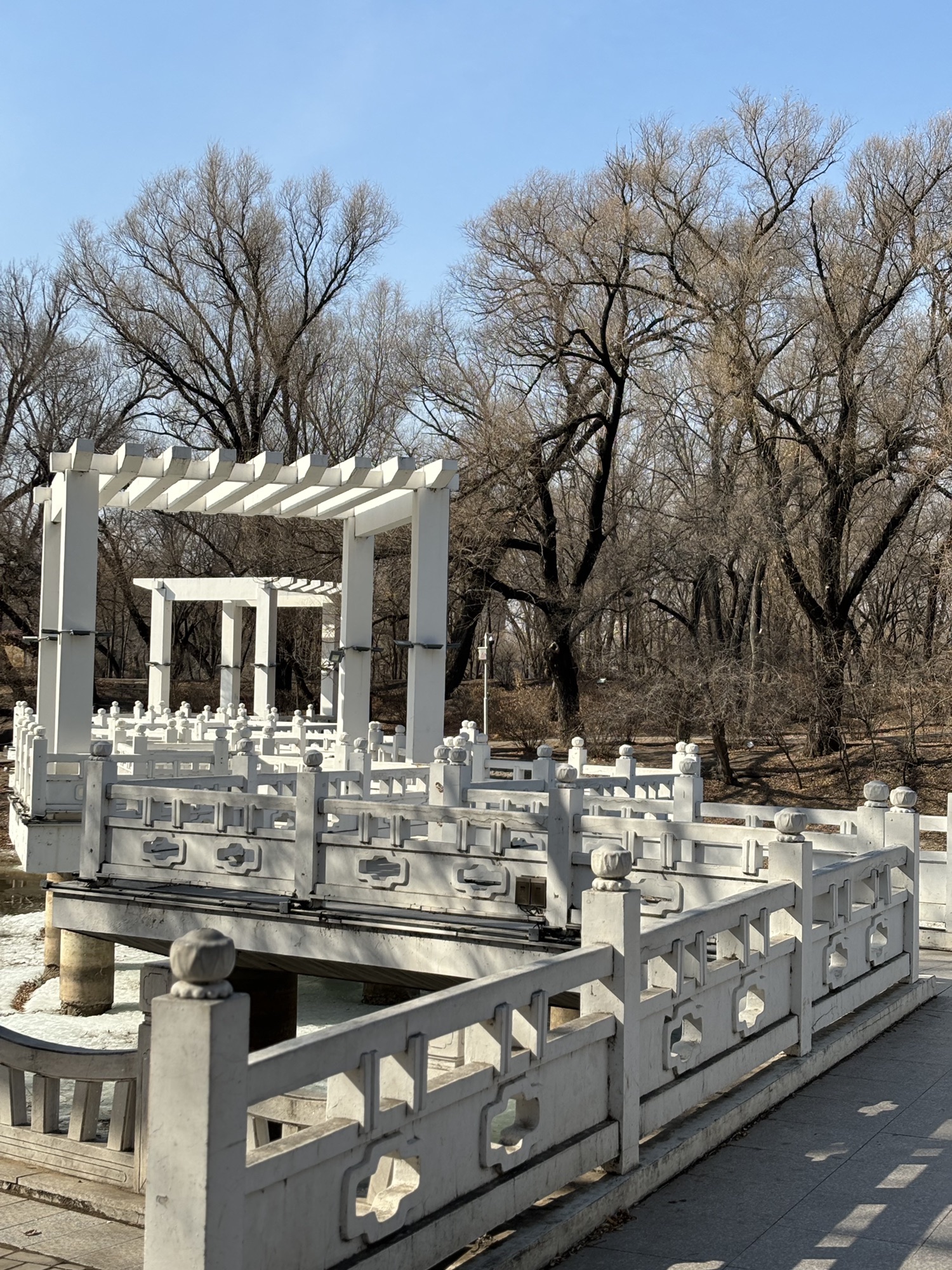 龙沙公园旅行图片