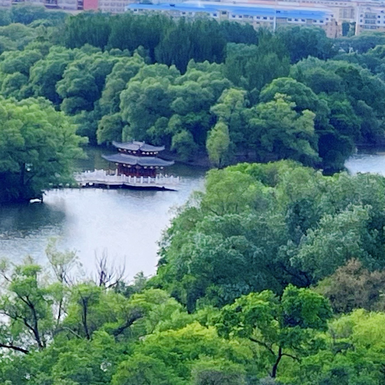 龙沙公园旅行图片