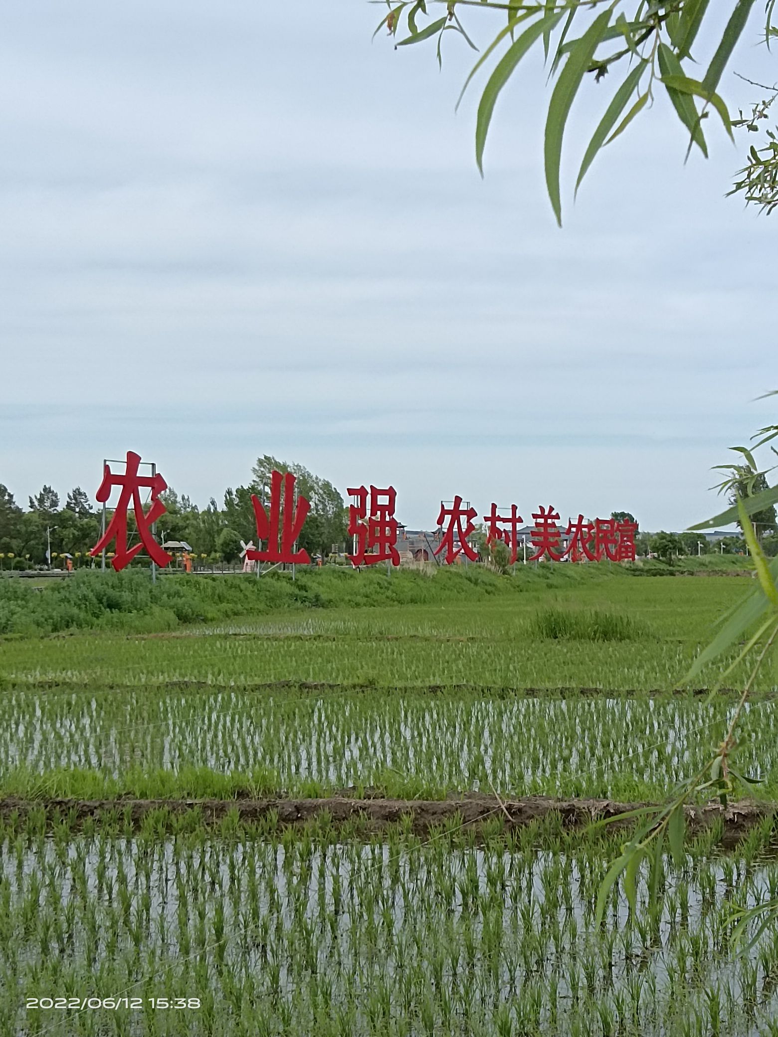 渤海风情园
