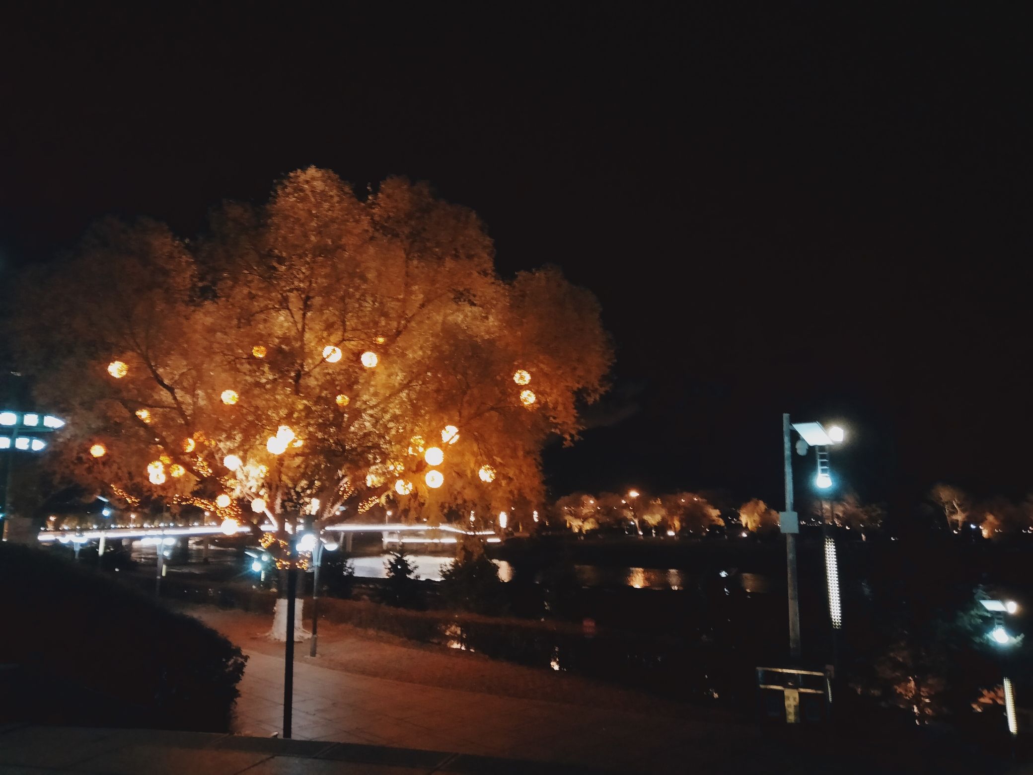 江滨公园旅行图片