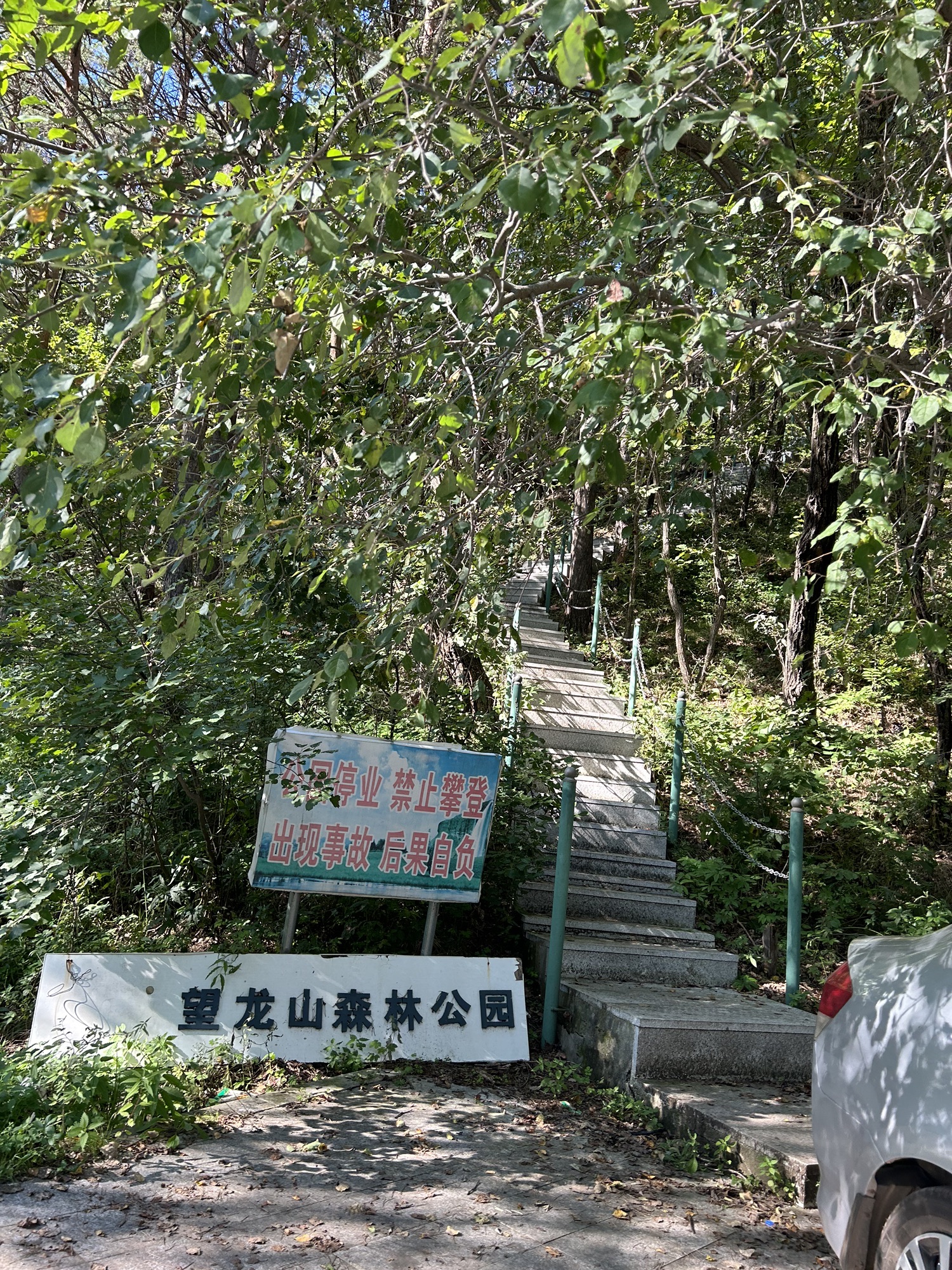 望龙山国家森林公园旅行图片