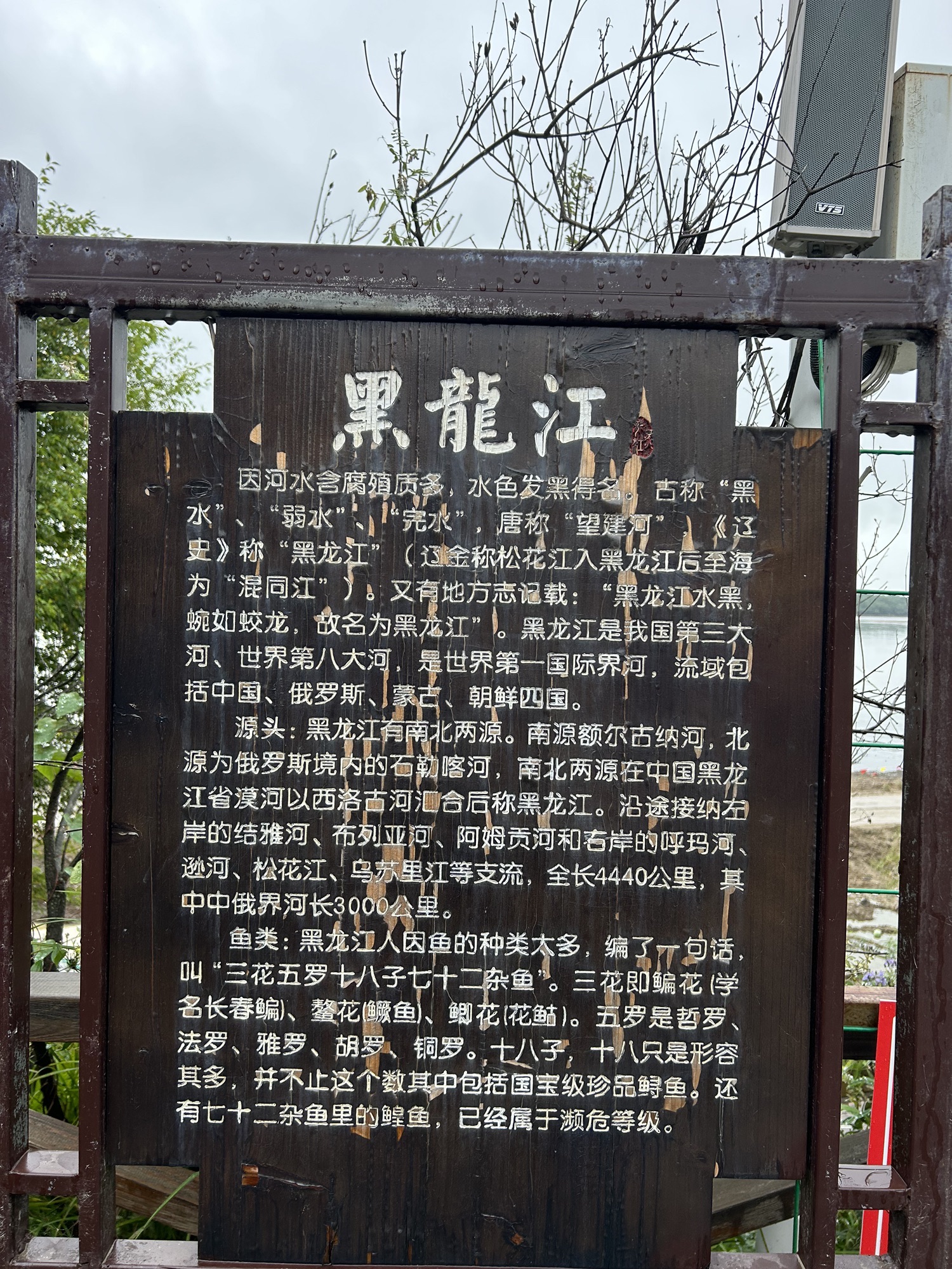 黑龙江中俄民族风情园旅行图片