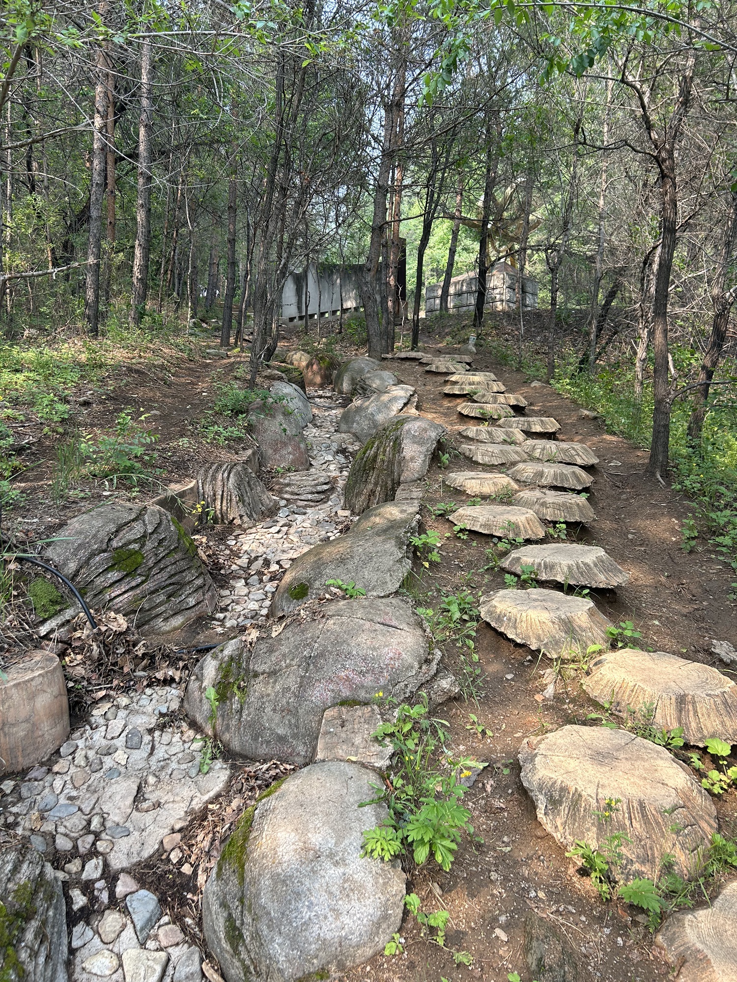 北山森林公园