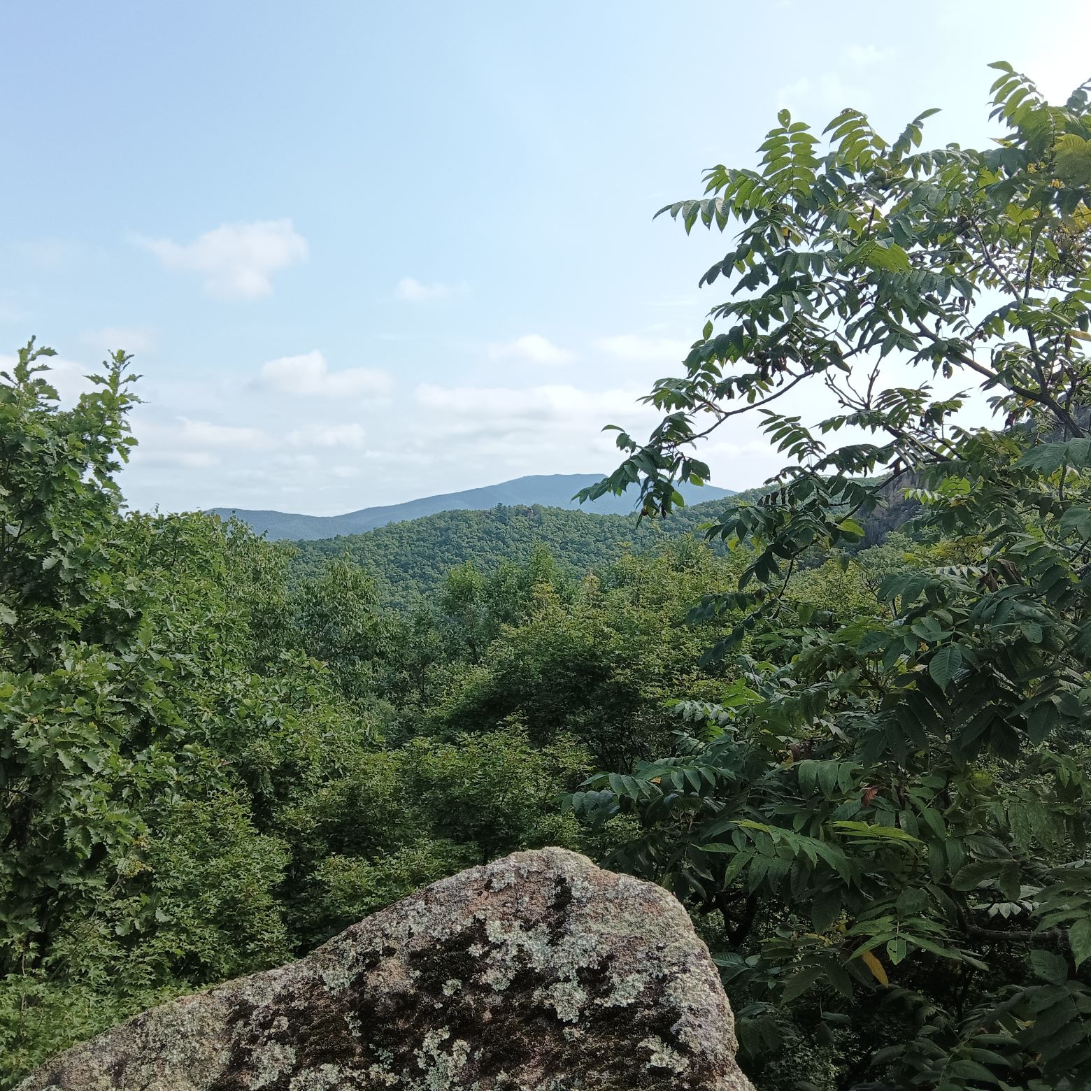 鹰山