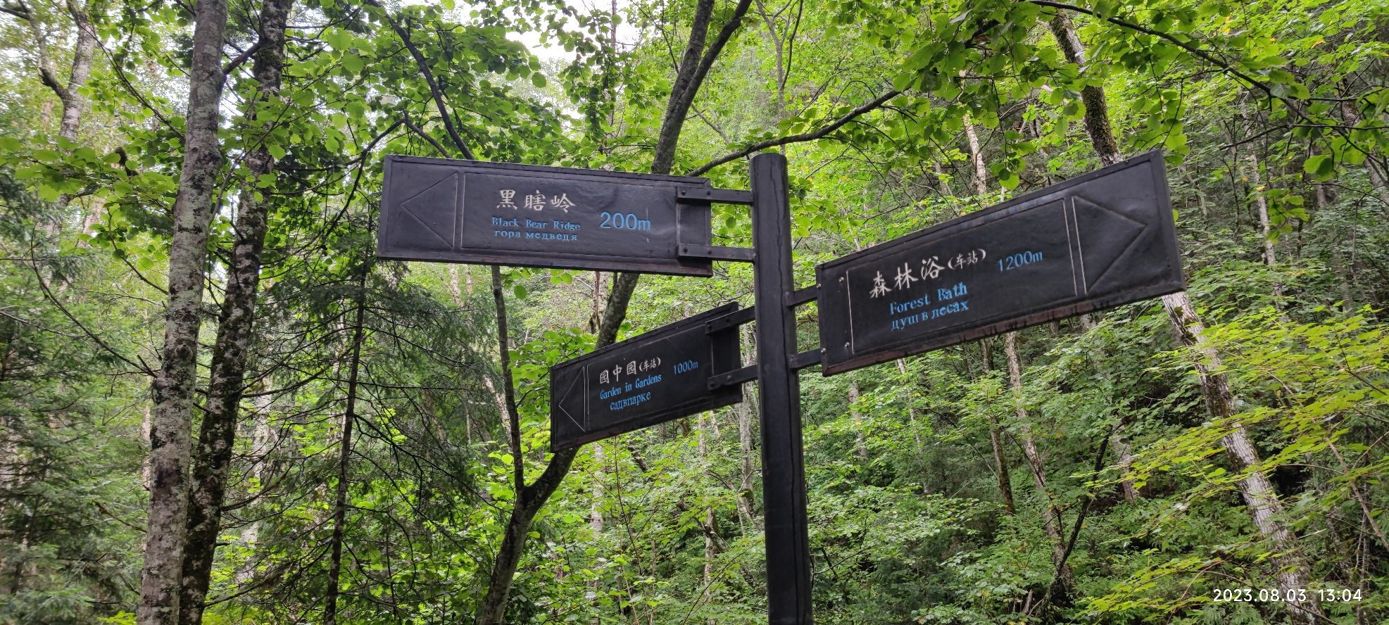 五营红松林海景区
