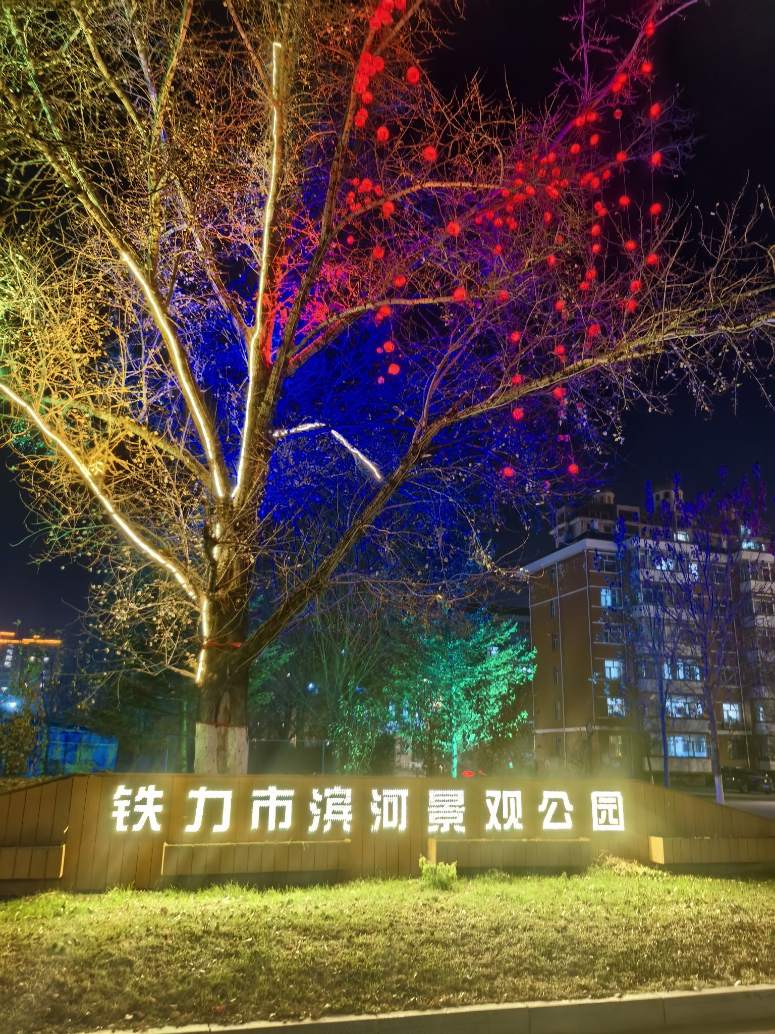 西河公园旅行图片
