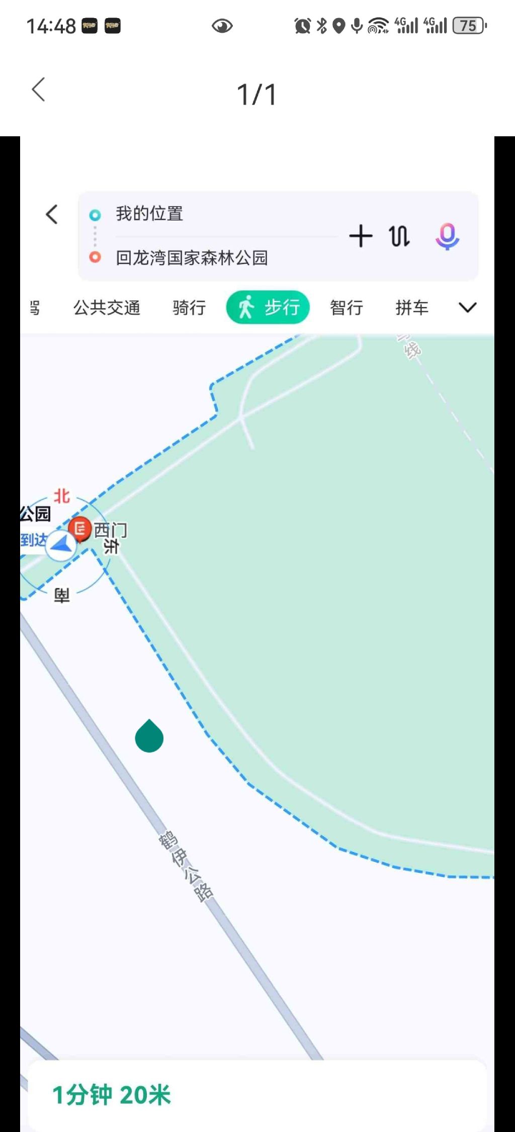 回龙湾国家森林公园旅行图片