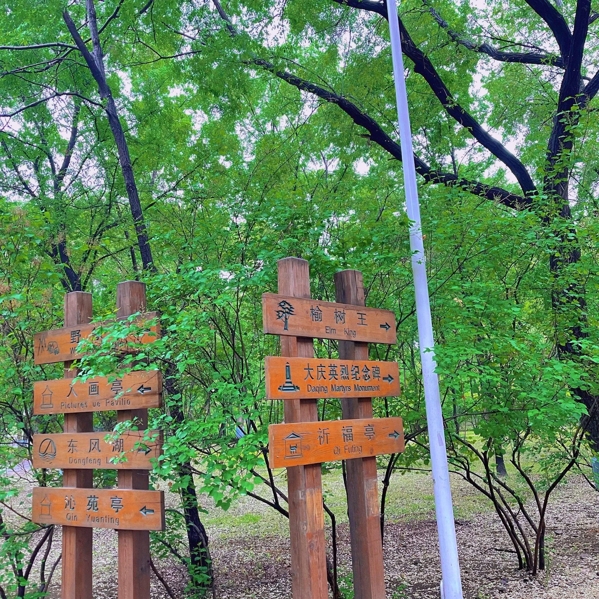 城市森林公园