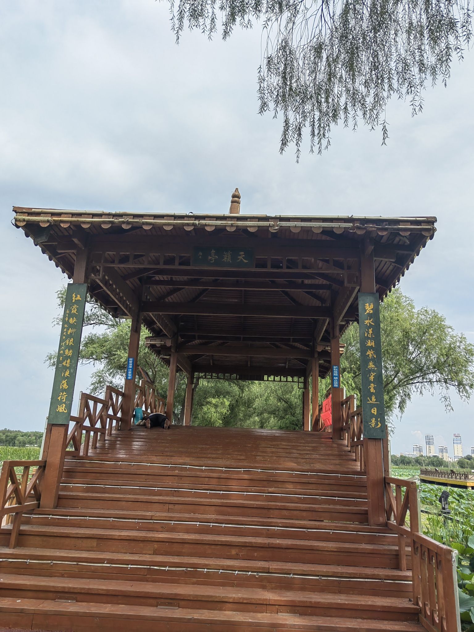 西海湿地公园