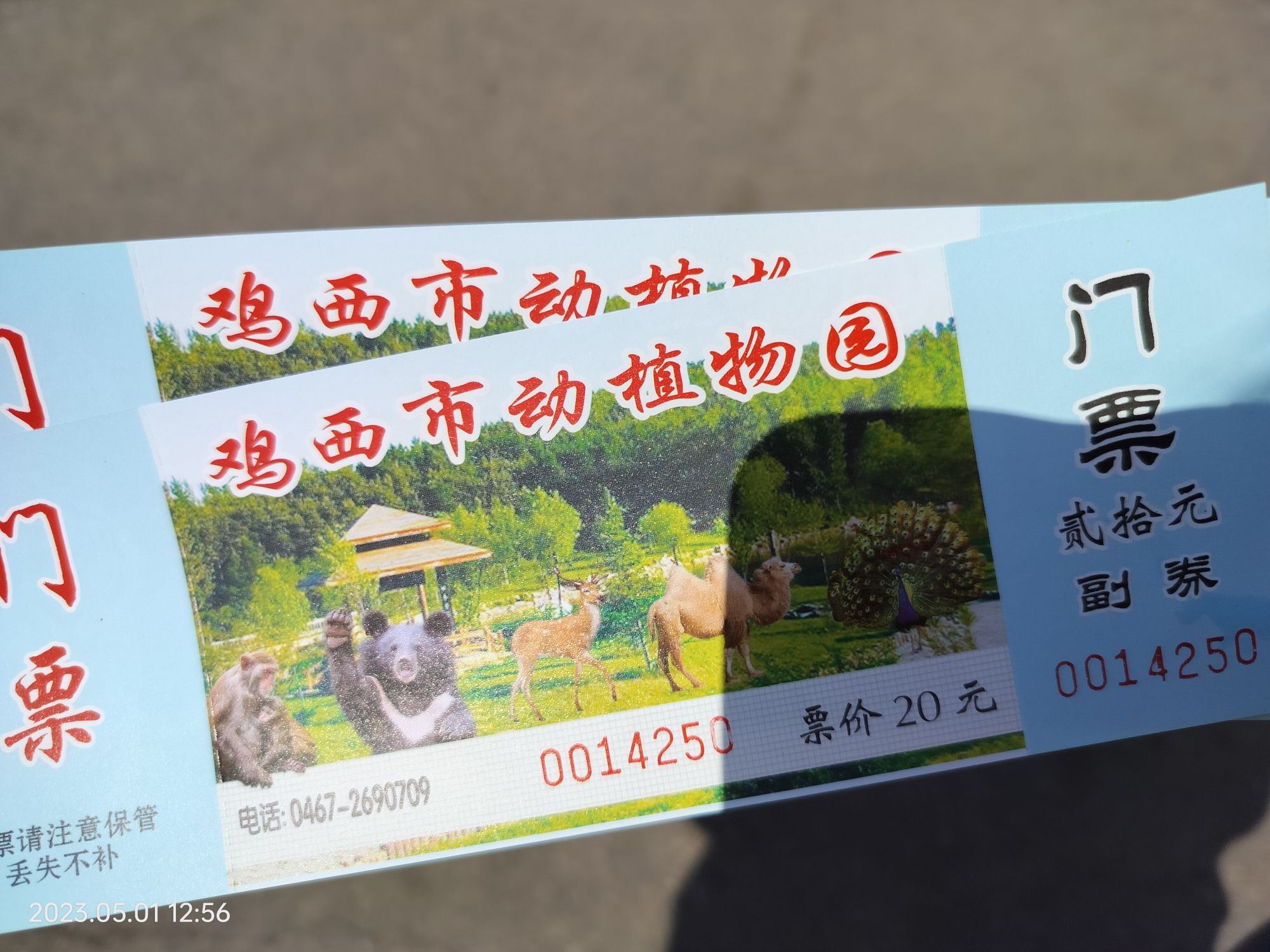 鸡西动植物园