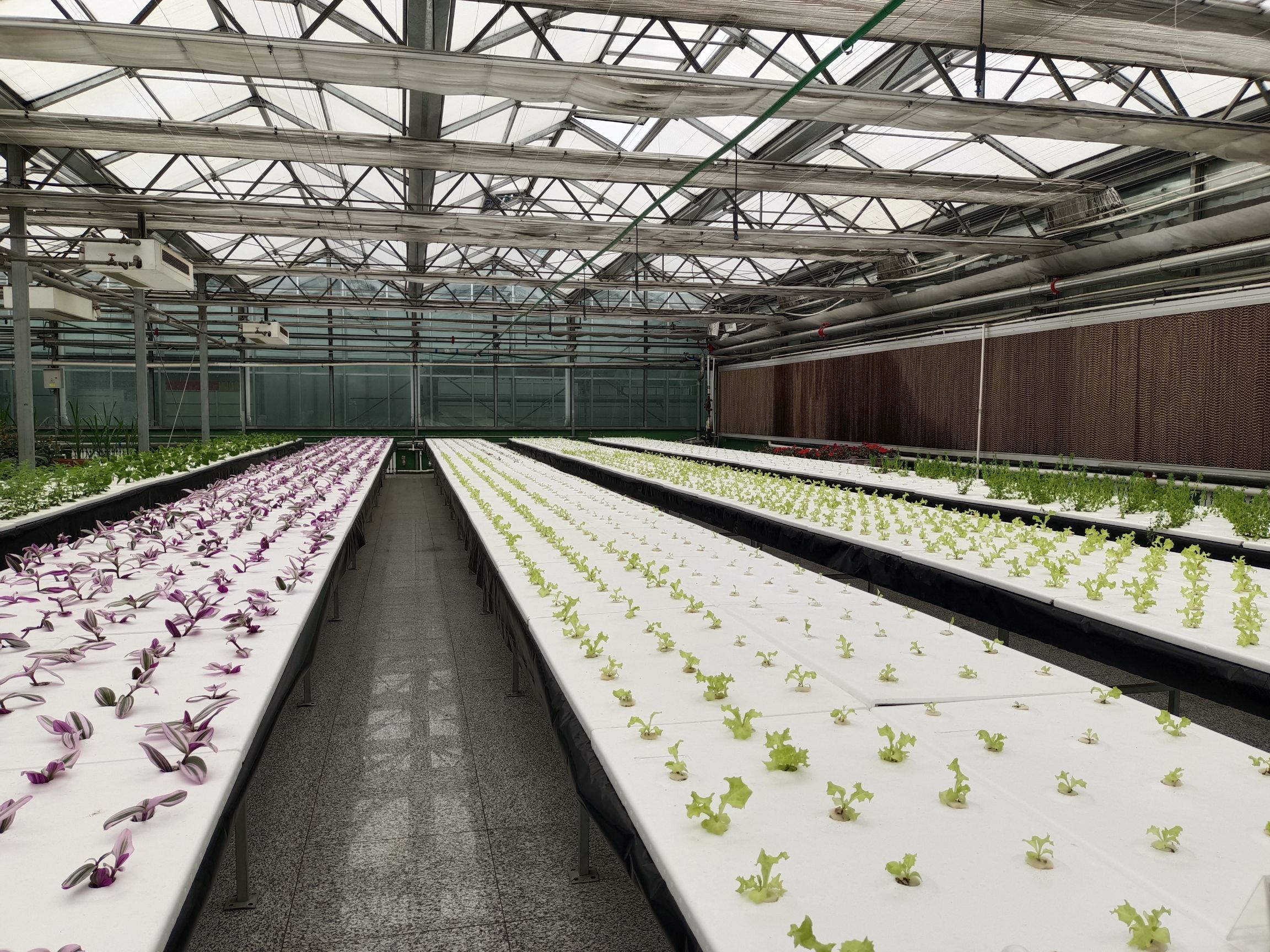 宝泉岭植物园