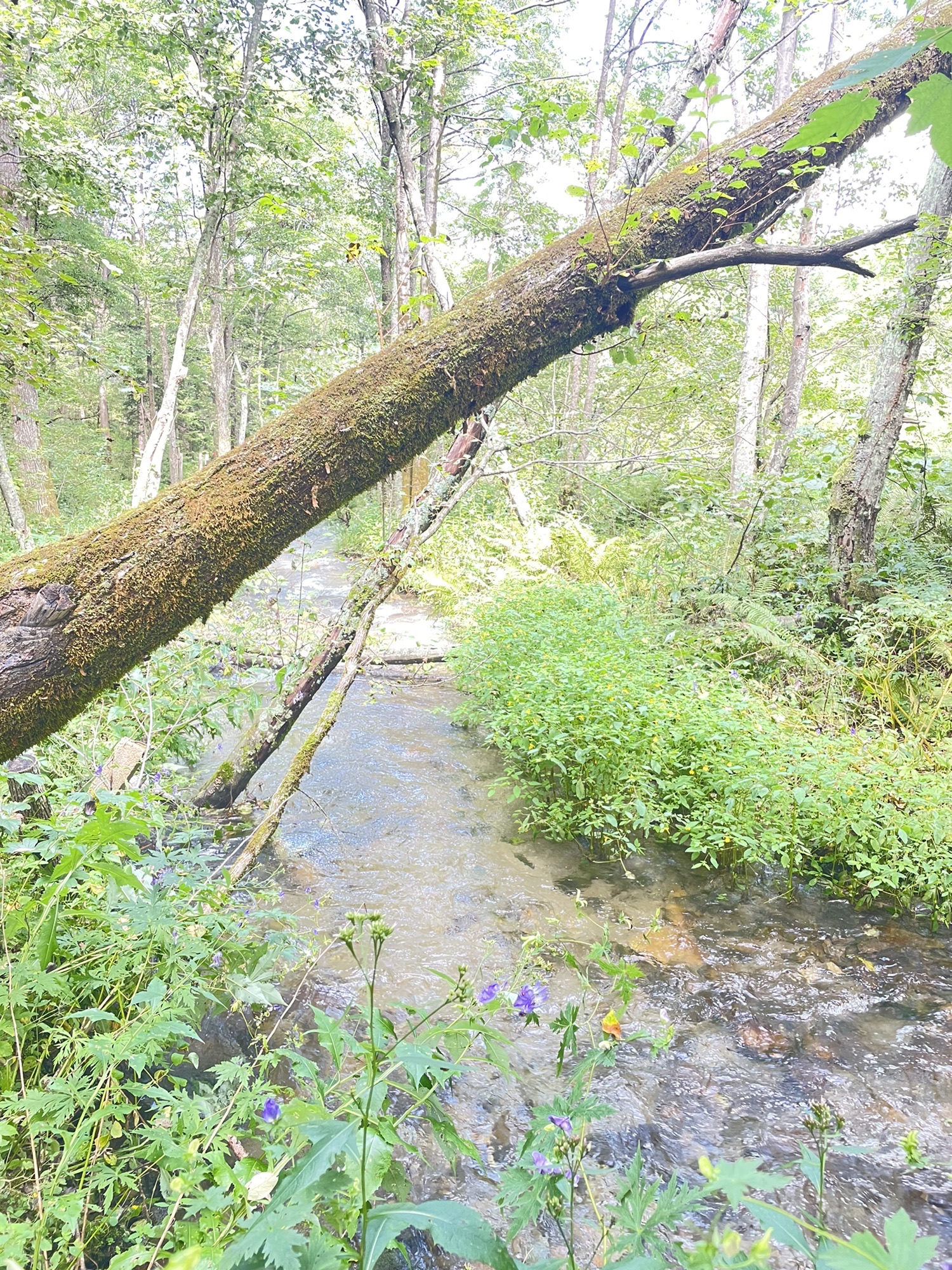 太平沟风景区