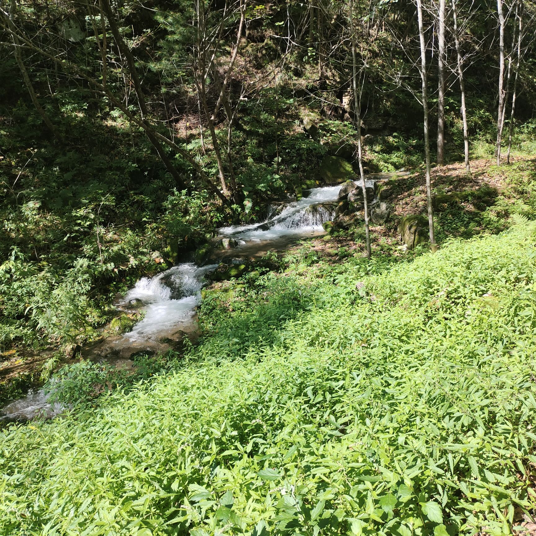 鹤岗金顶山地质公园(暂停开放)