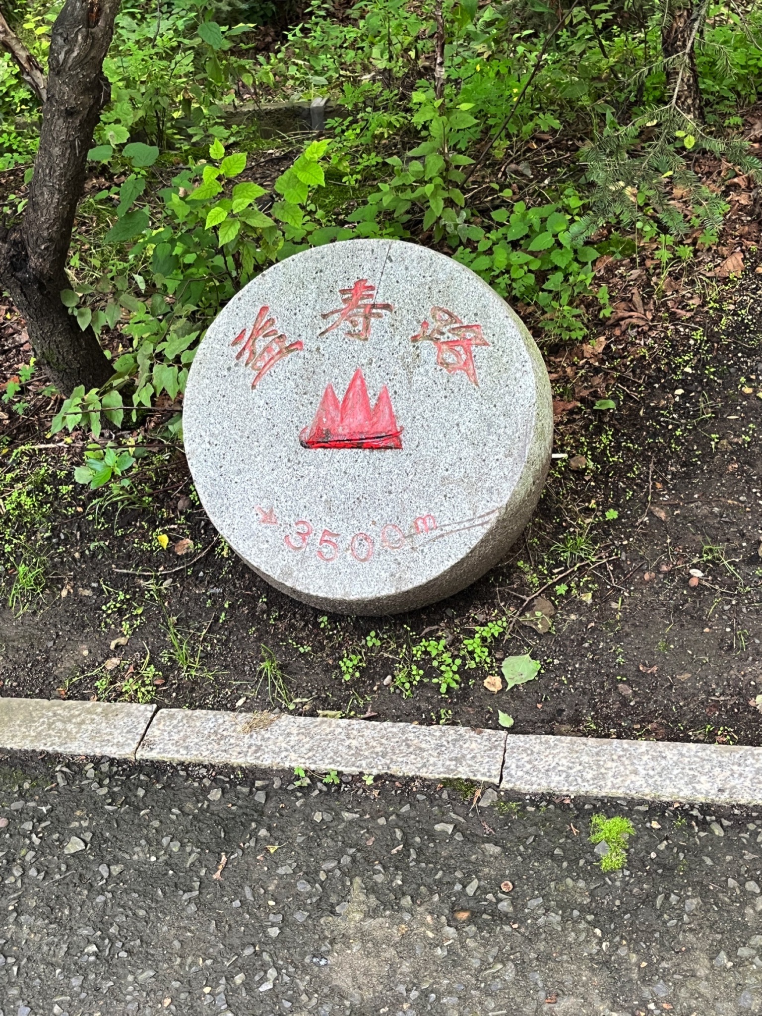益寿山公园旅行图片