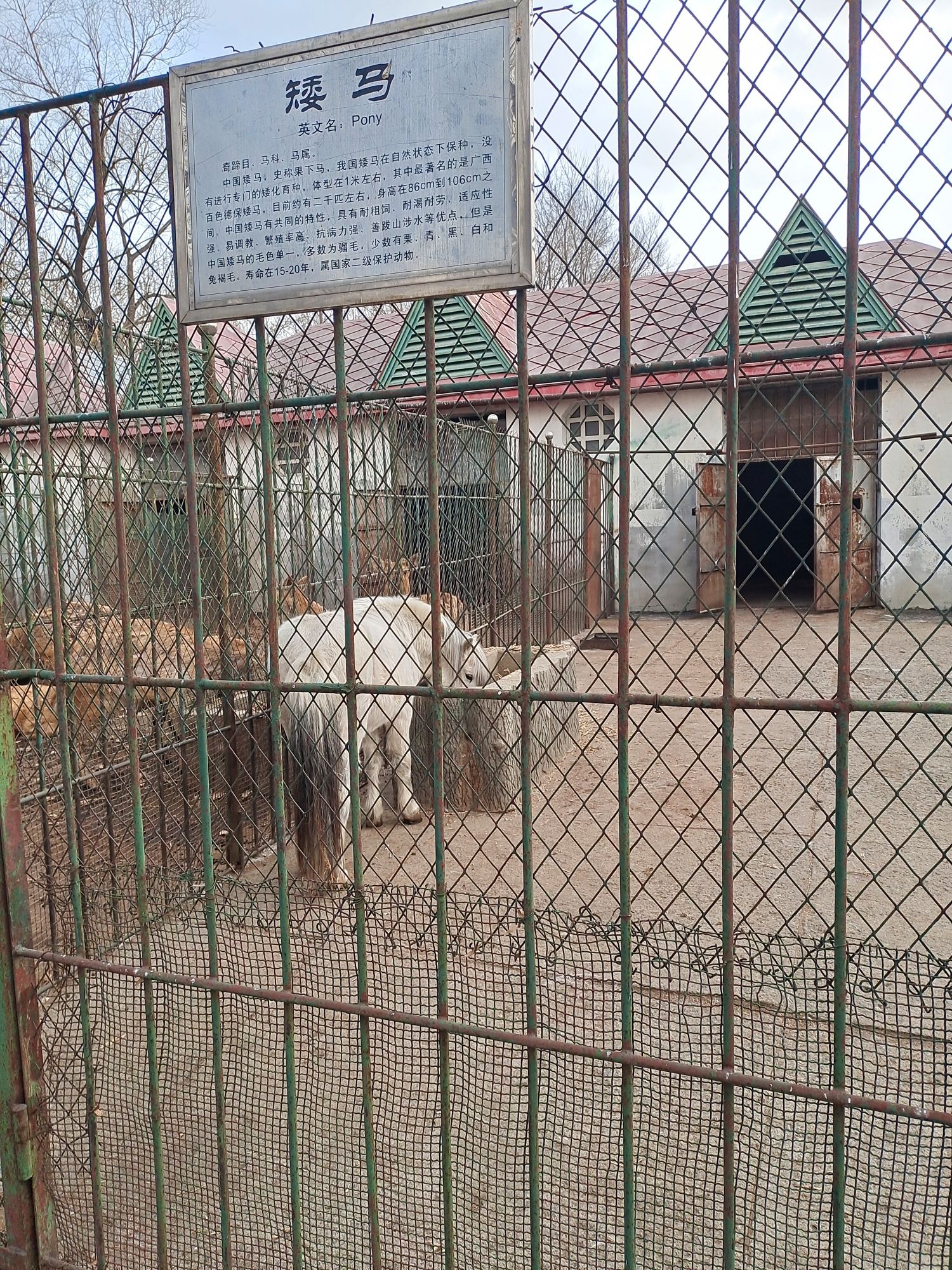 北秀公园