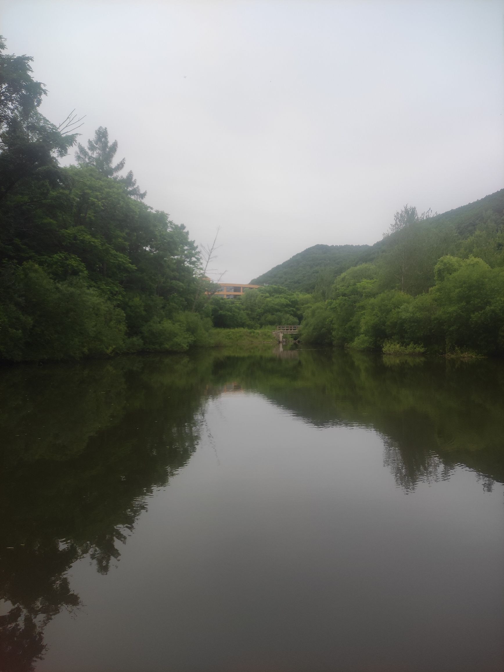 羊鼻山森林生态旅游区