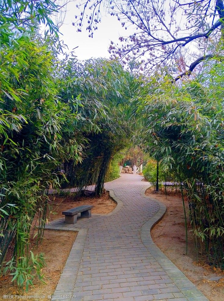 天府公园旅行图片